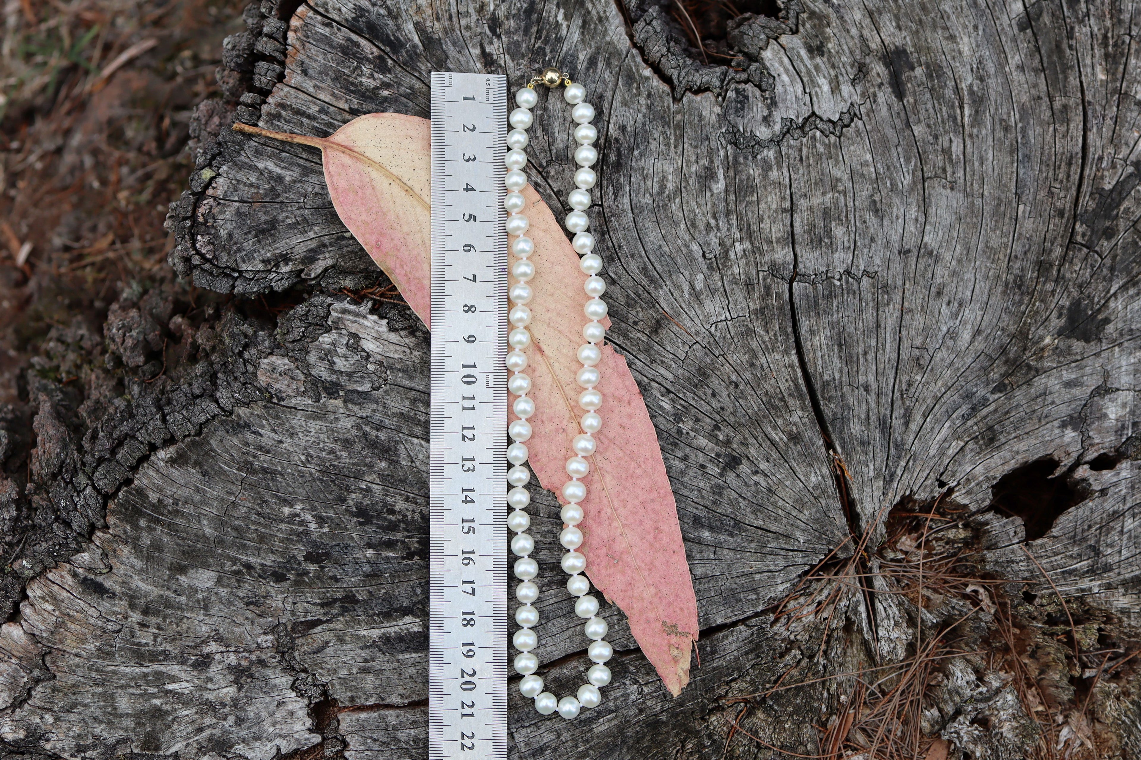 South Sea Cultured Pearls with 9ct Clasp