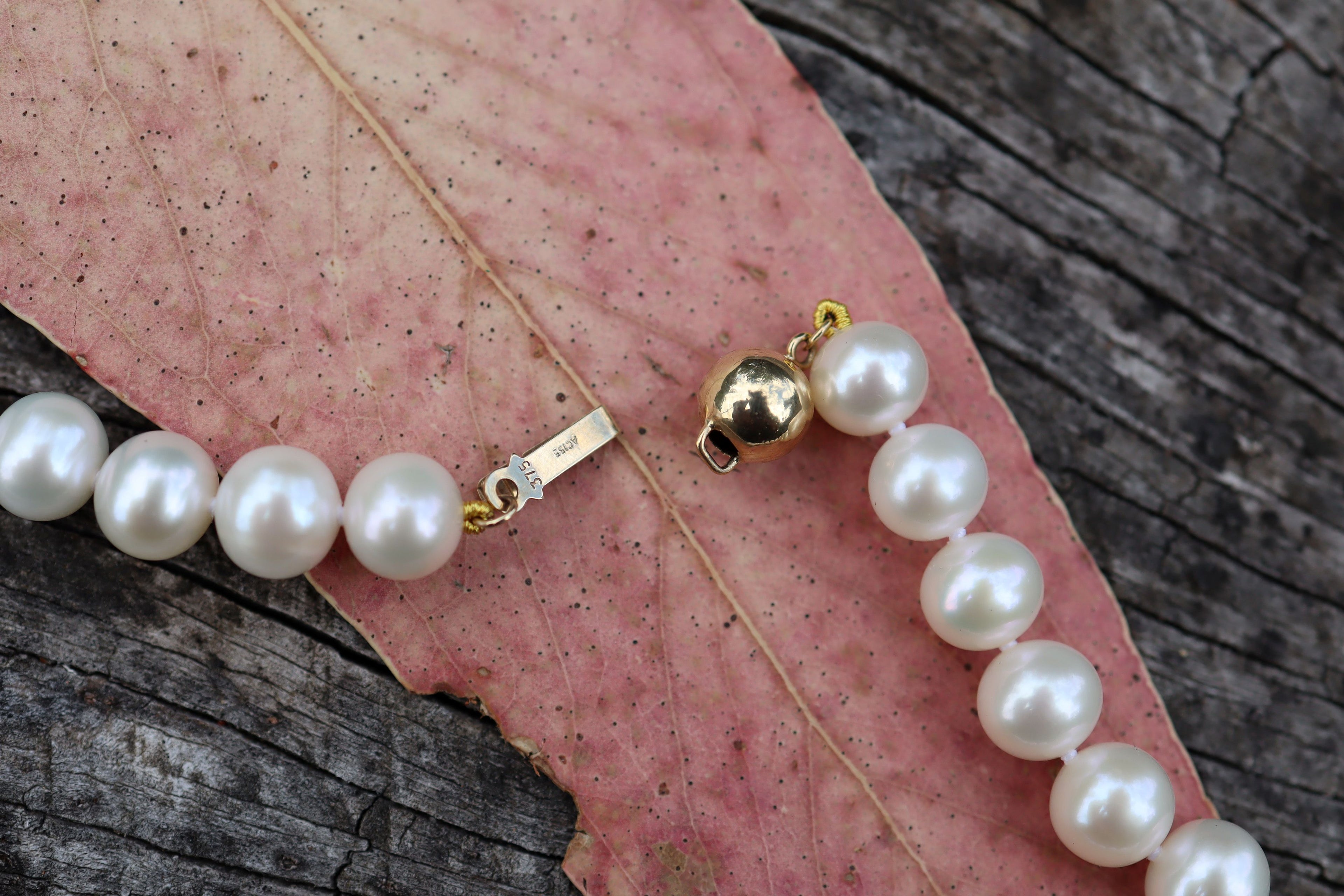 South Sea Cultured Pearls with 9ct Clasp