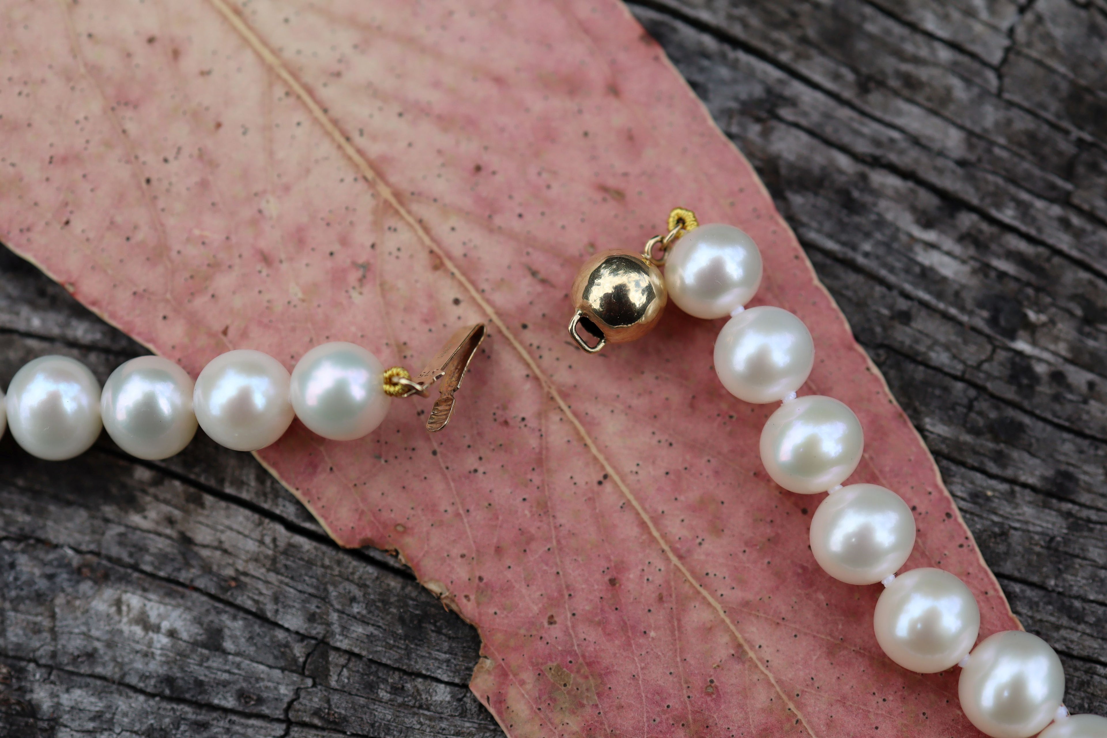South Sea Cultured Pearls with 9ct Clasp