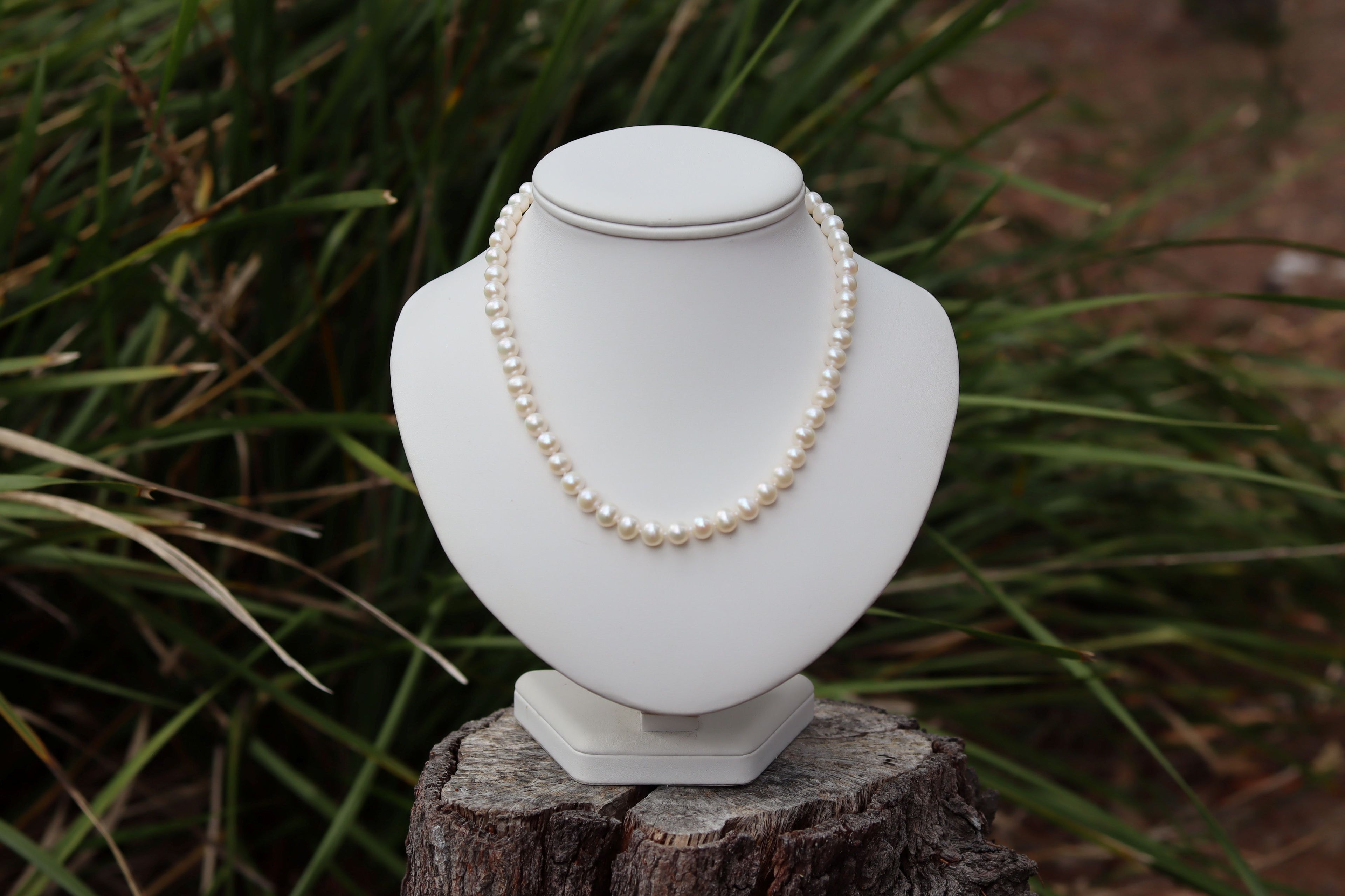 South Sea Cultured Pearls with 9ct Clasp