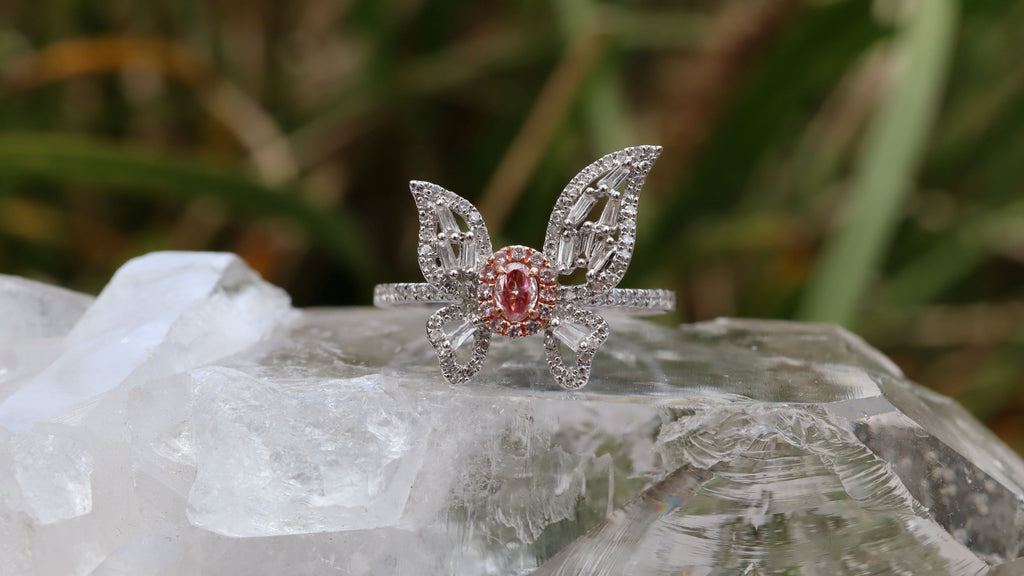 Pink Diamond Butterfly Ring in 18ct White Gold
