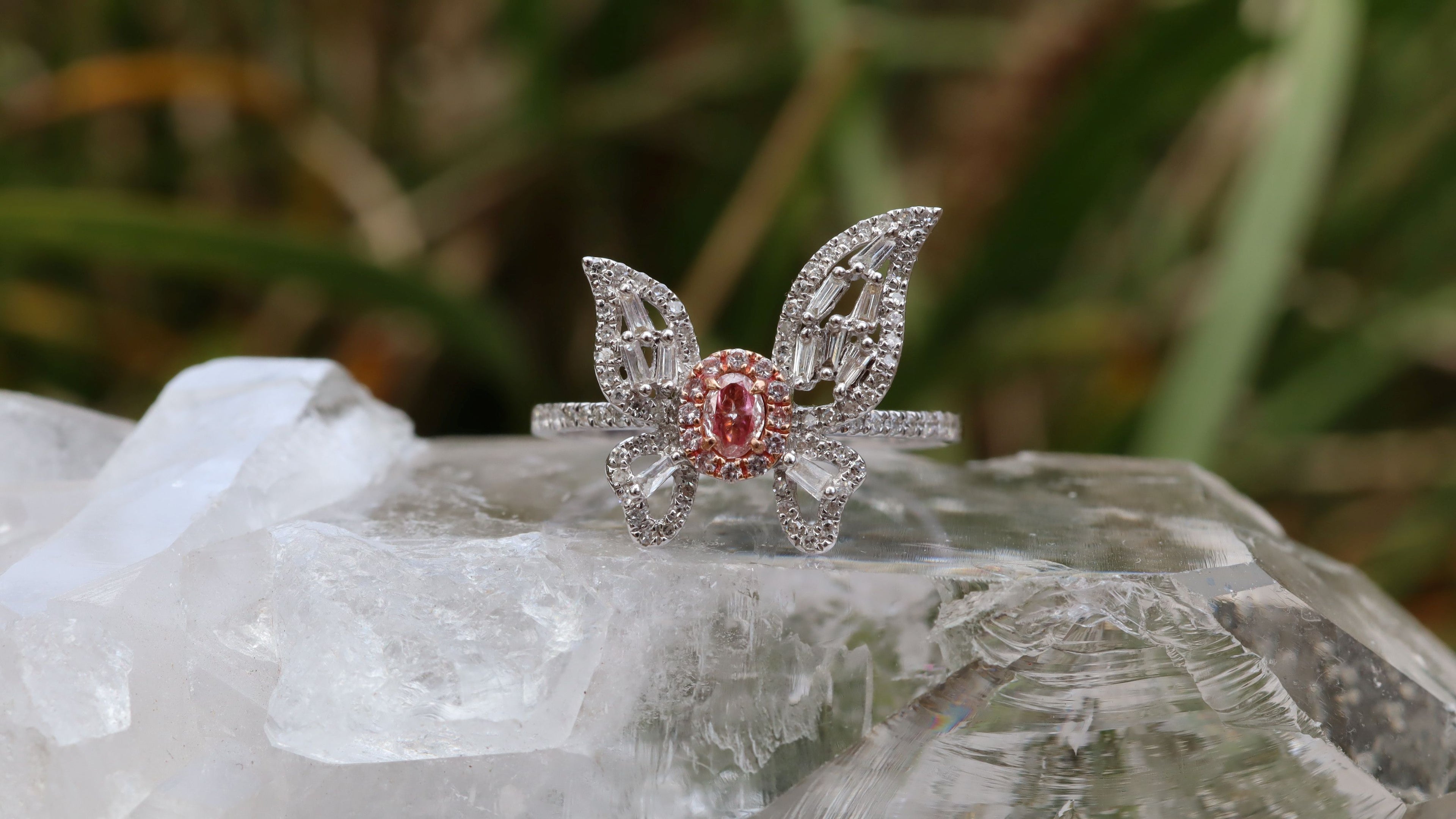 Pink Diamond Butterfly Ring in 18ct White Gold