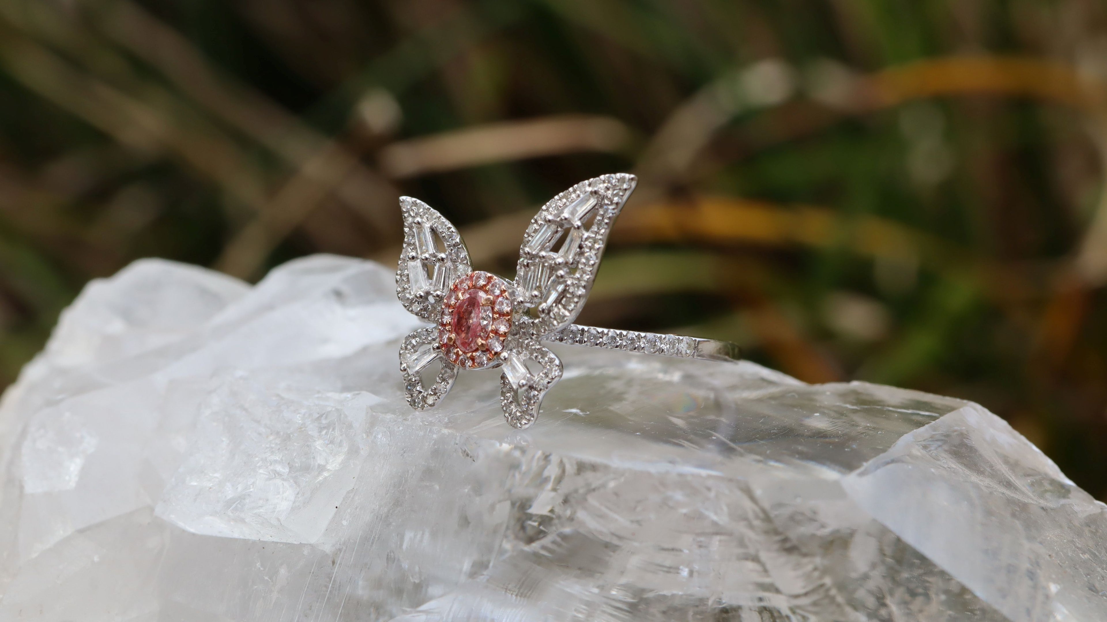 Pink Diamond Butterfly Ring in 18ct White Gold