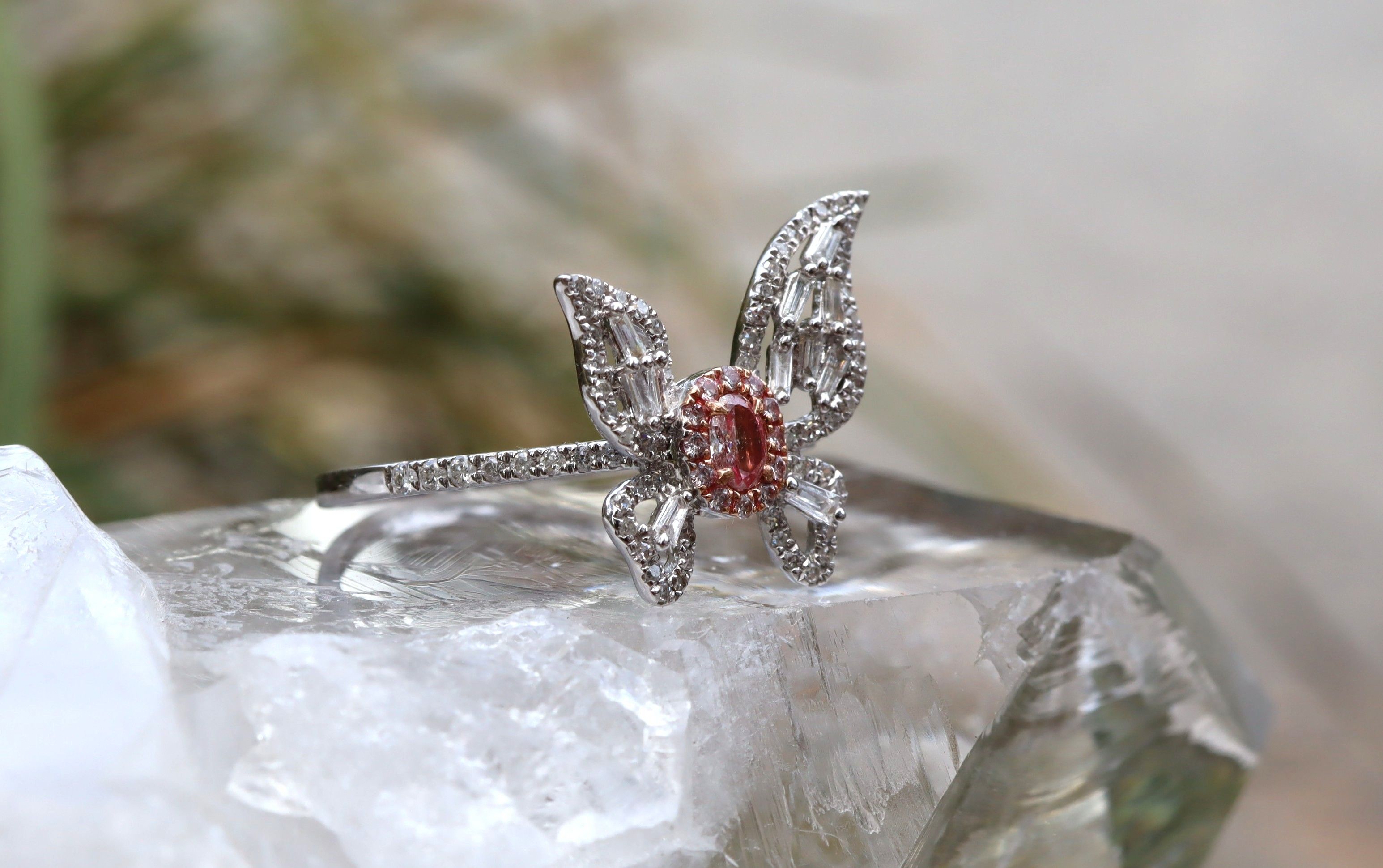Pink Diamond Butterfly Ring in 18ct White Gold