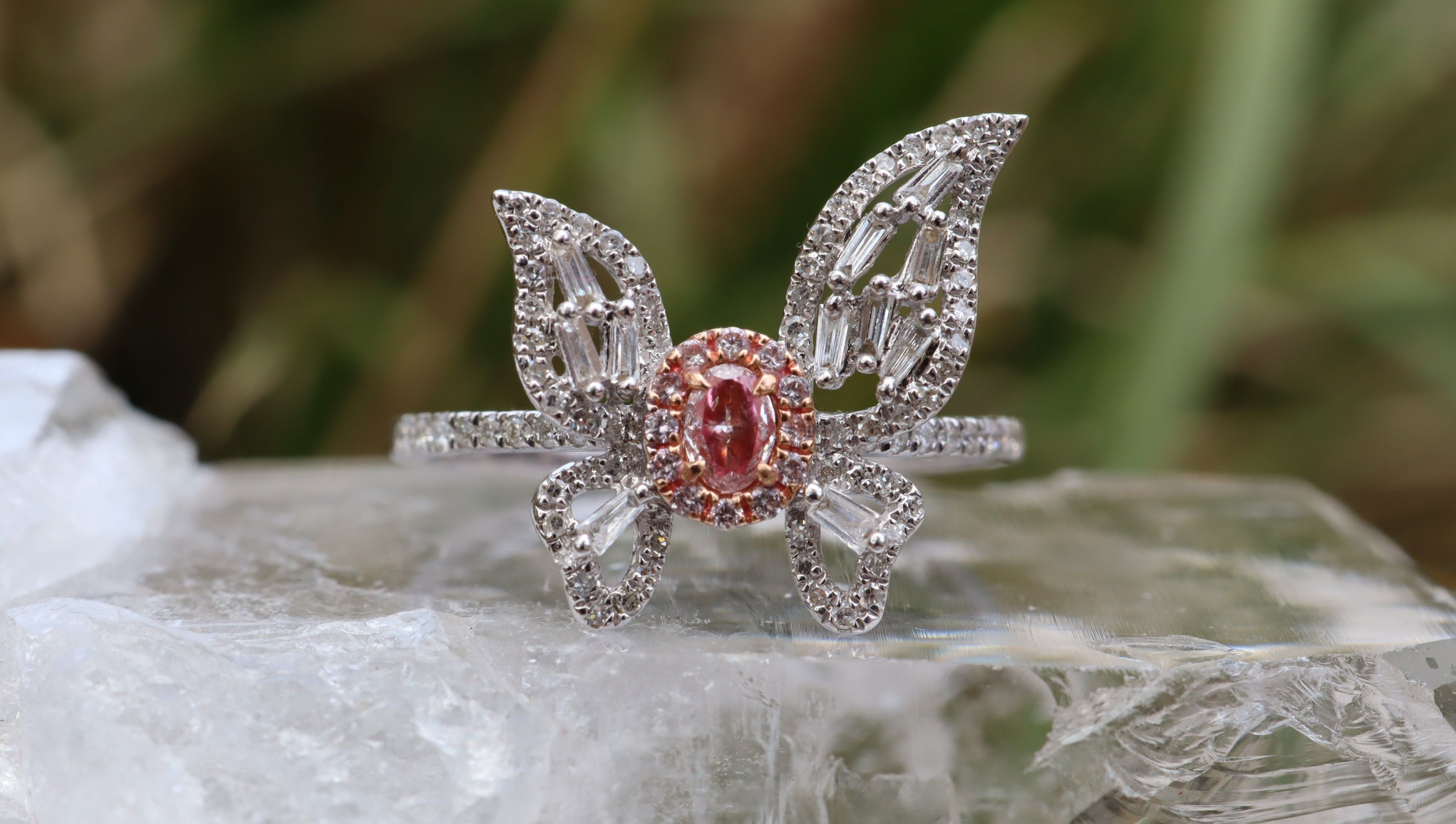 Pink Diamond Butterfly Ring in 18ct White Gold