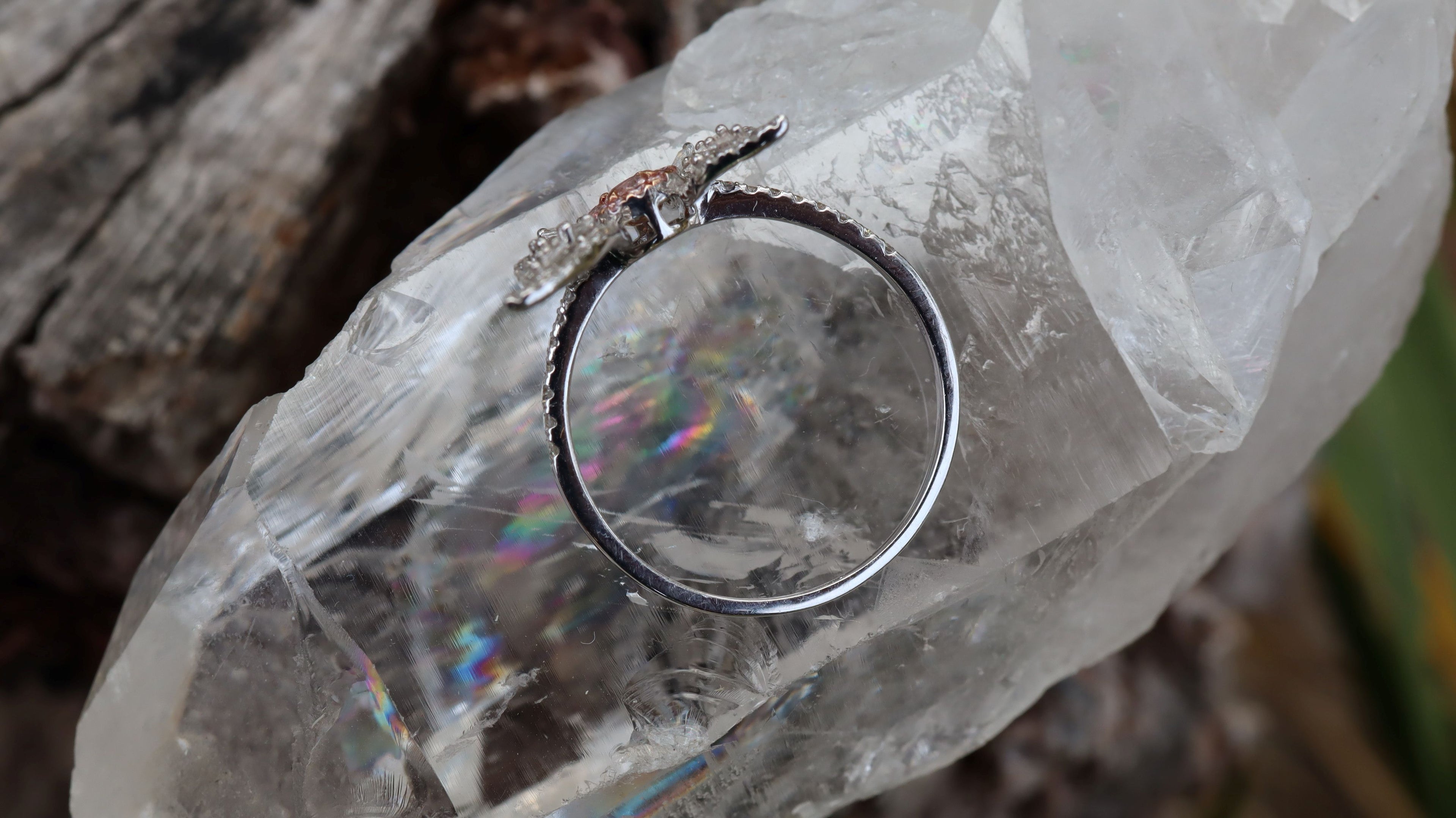 Pink Diamond Butterfly Ring in 18ct White Gold