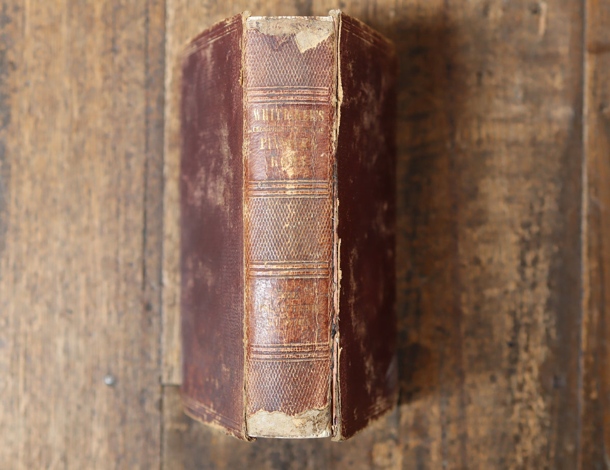 Whittaker's History of Rome 1851