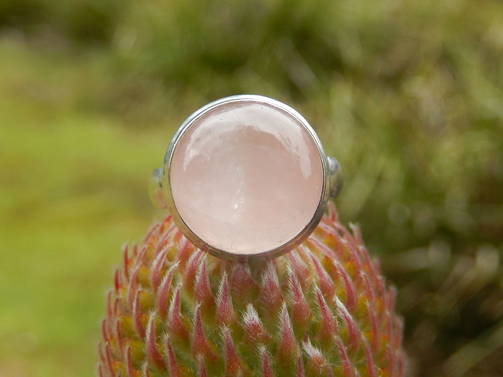 Rose Quartz Ring in Sterling