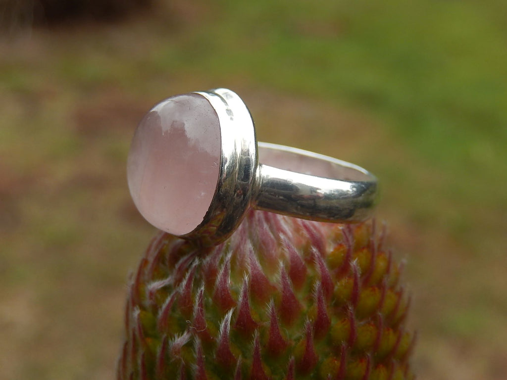 Rose Quartz Ring in Sterling