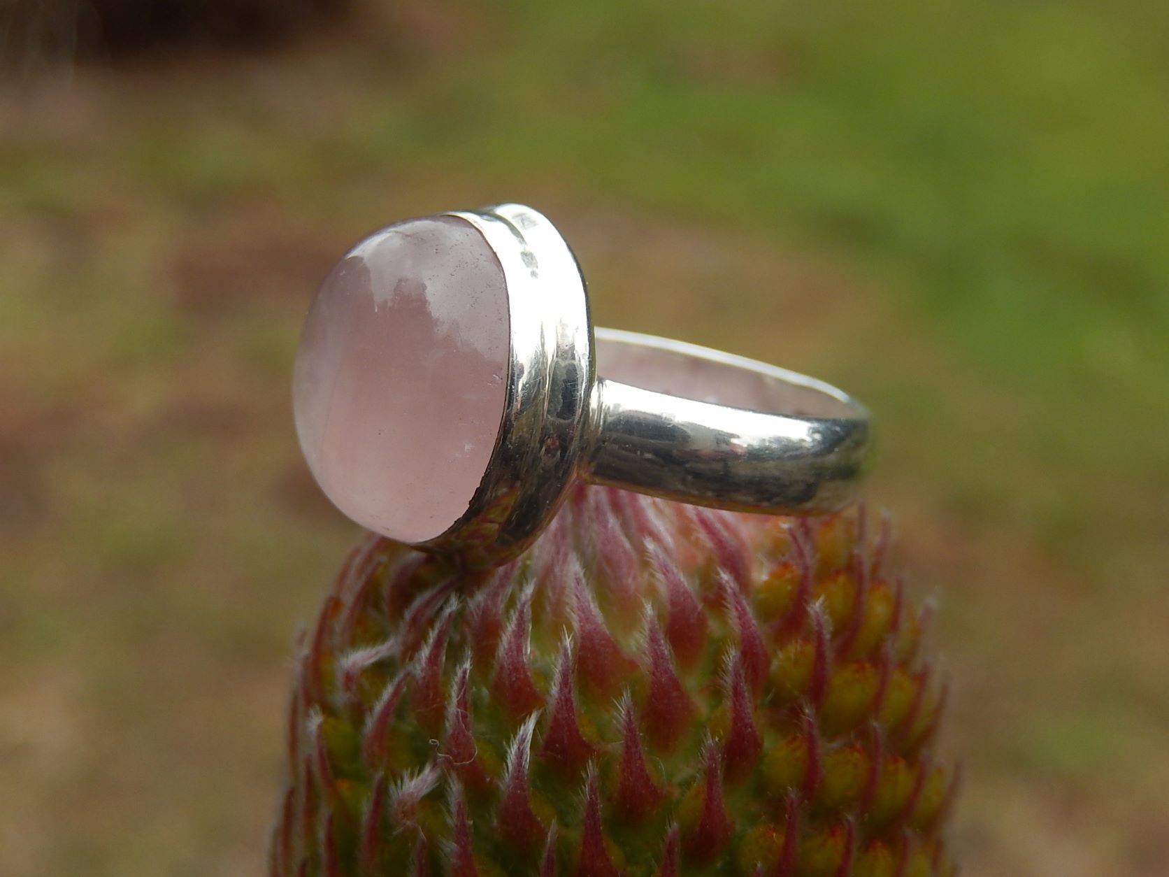 Rose Quartz Ring in Sterling