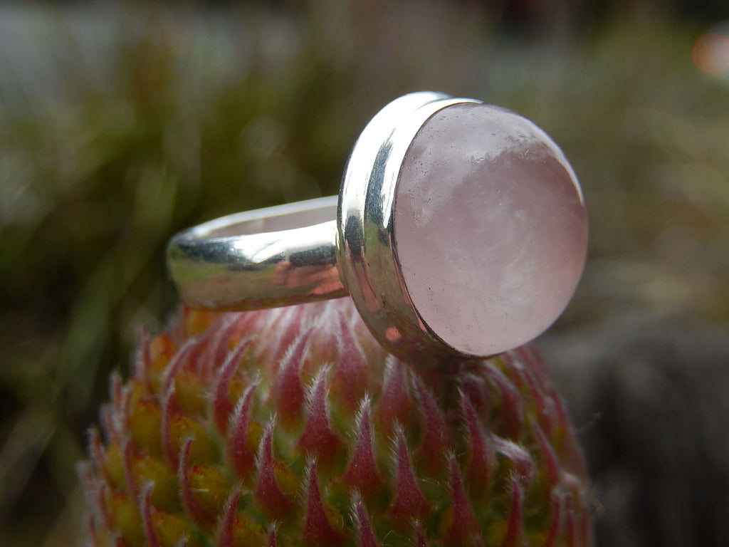 Rose Quartz Ring in Sterling