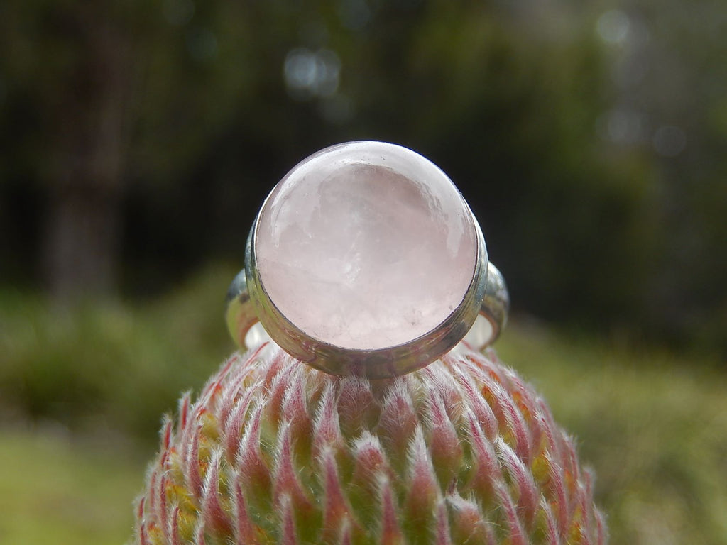 Rose Quartz Ring in Sterling