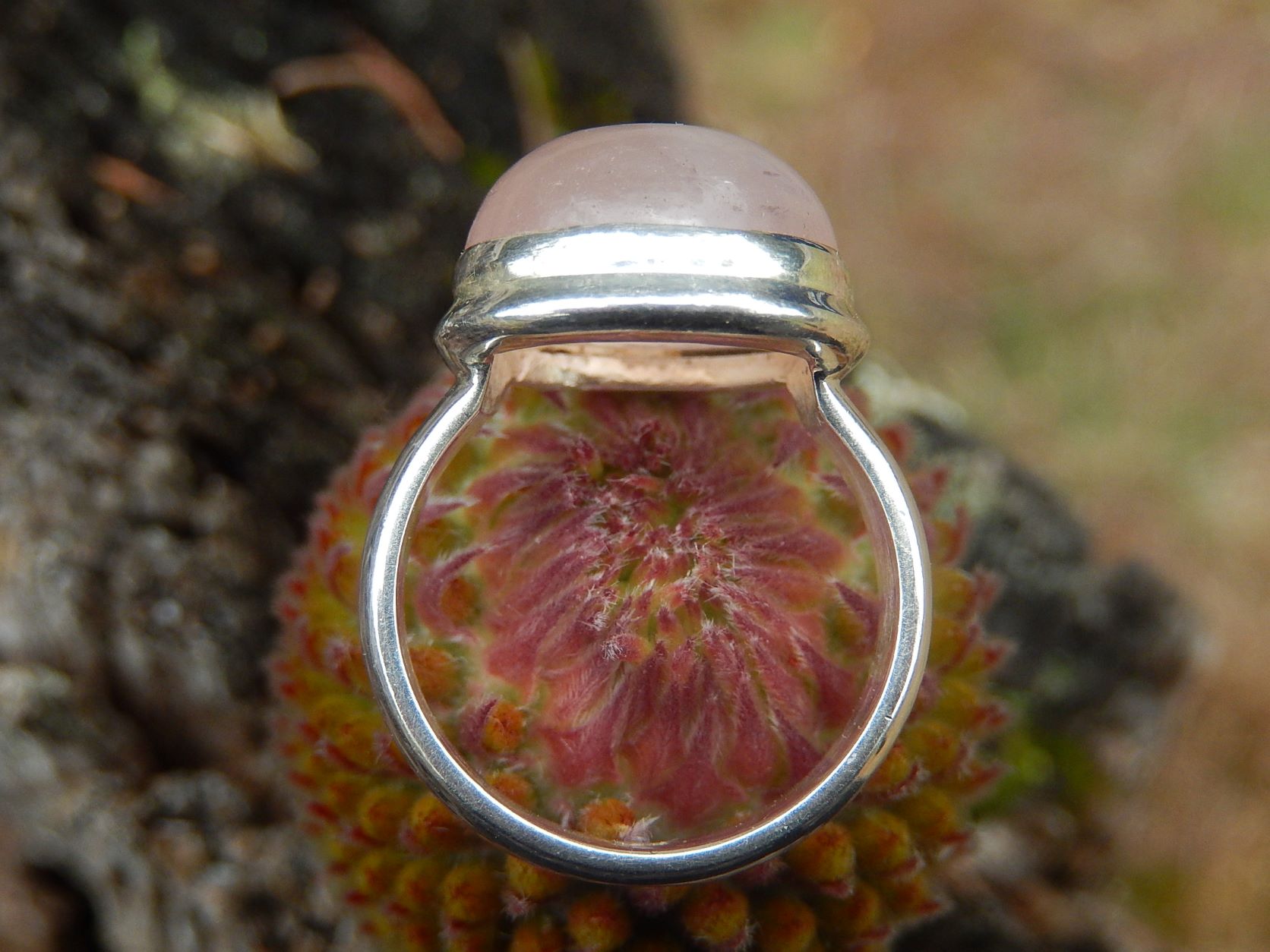 Rose Quartz Ring in Sterling