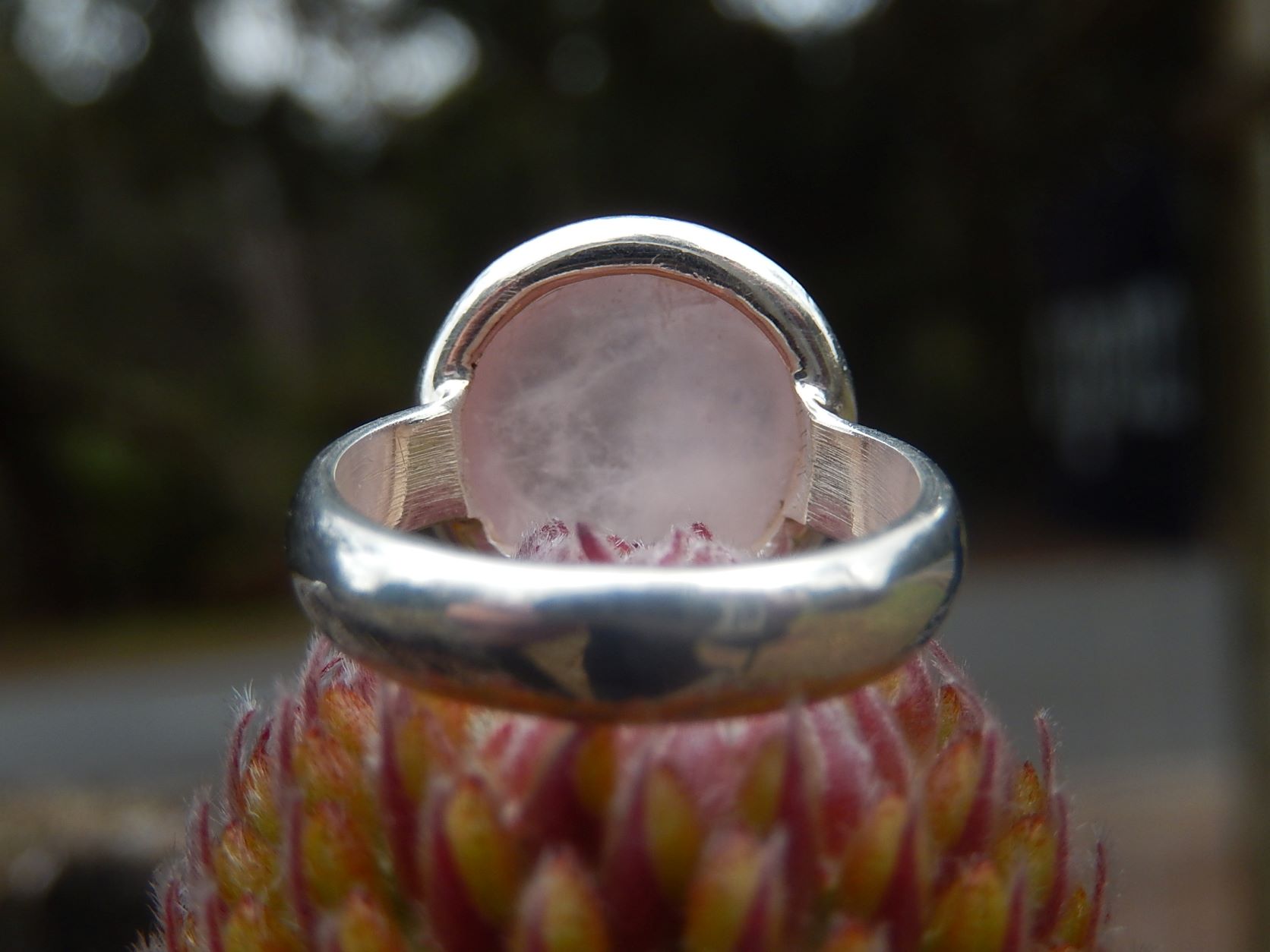 Rose Quartz Ring in Sterling