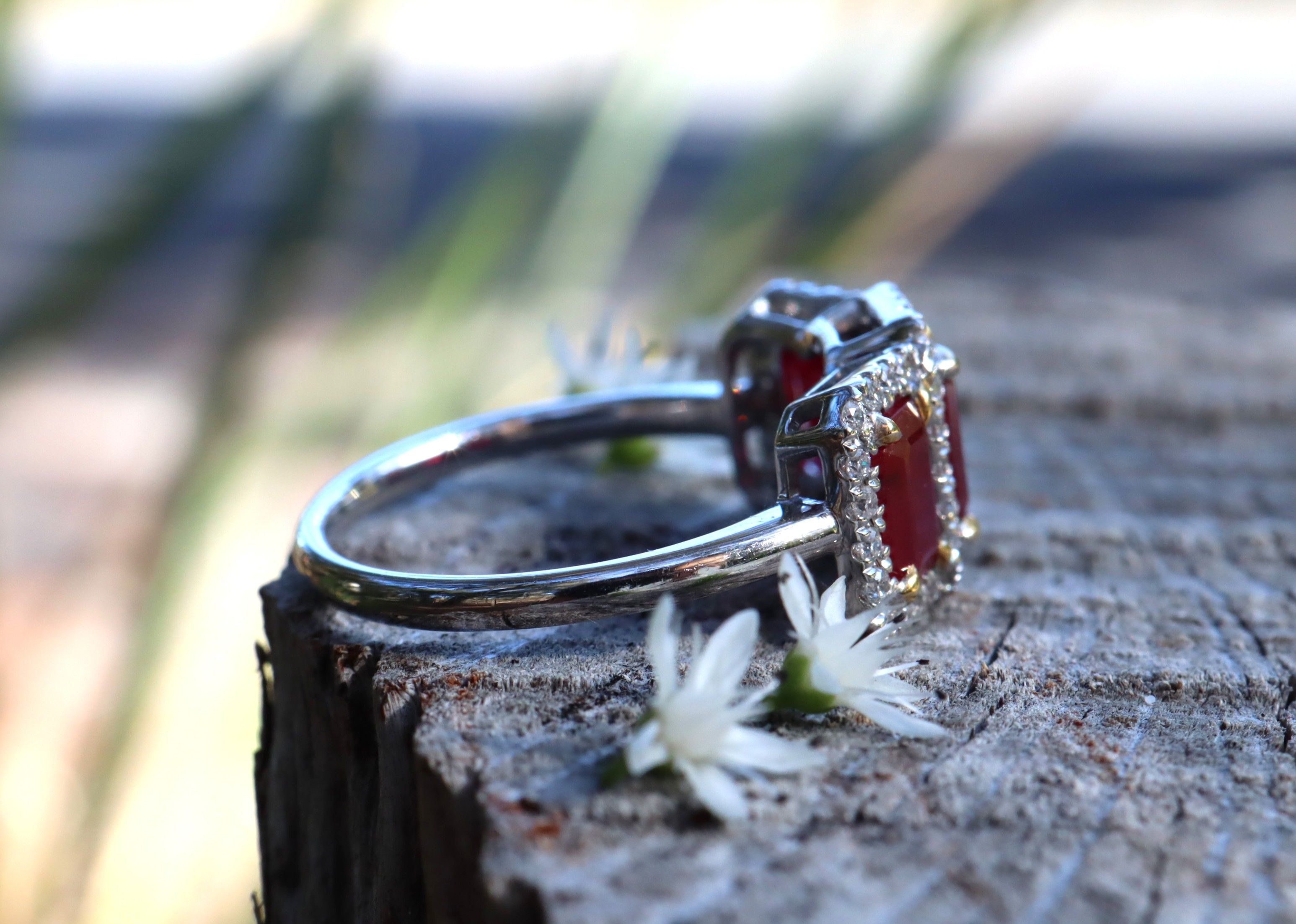 Ruby and Diamond Trilogy Ring in Platinum