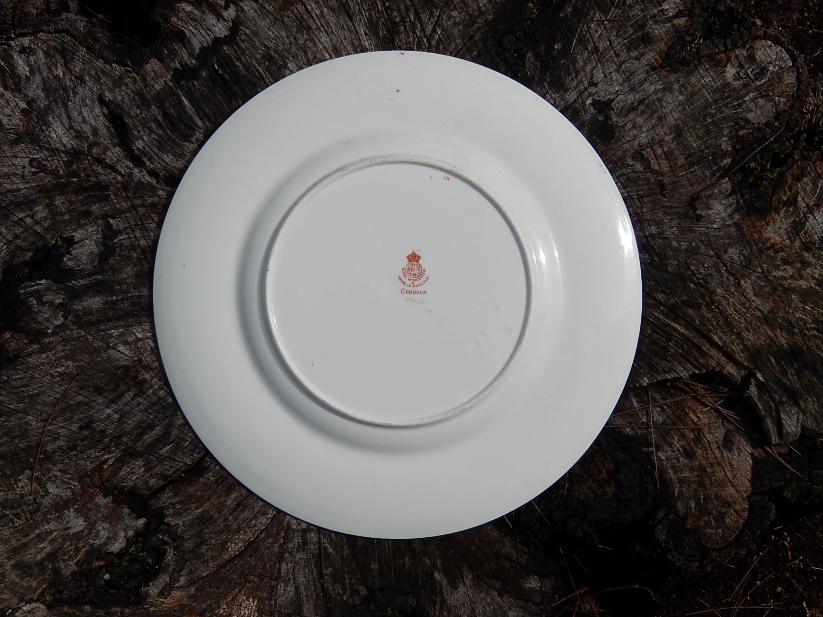 Royal Worcester Plate 1928