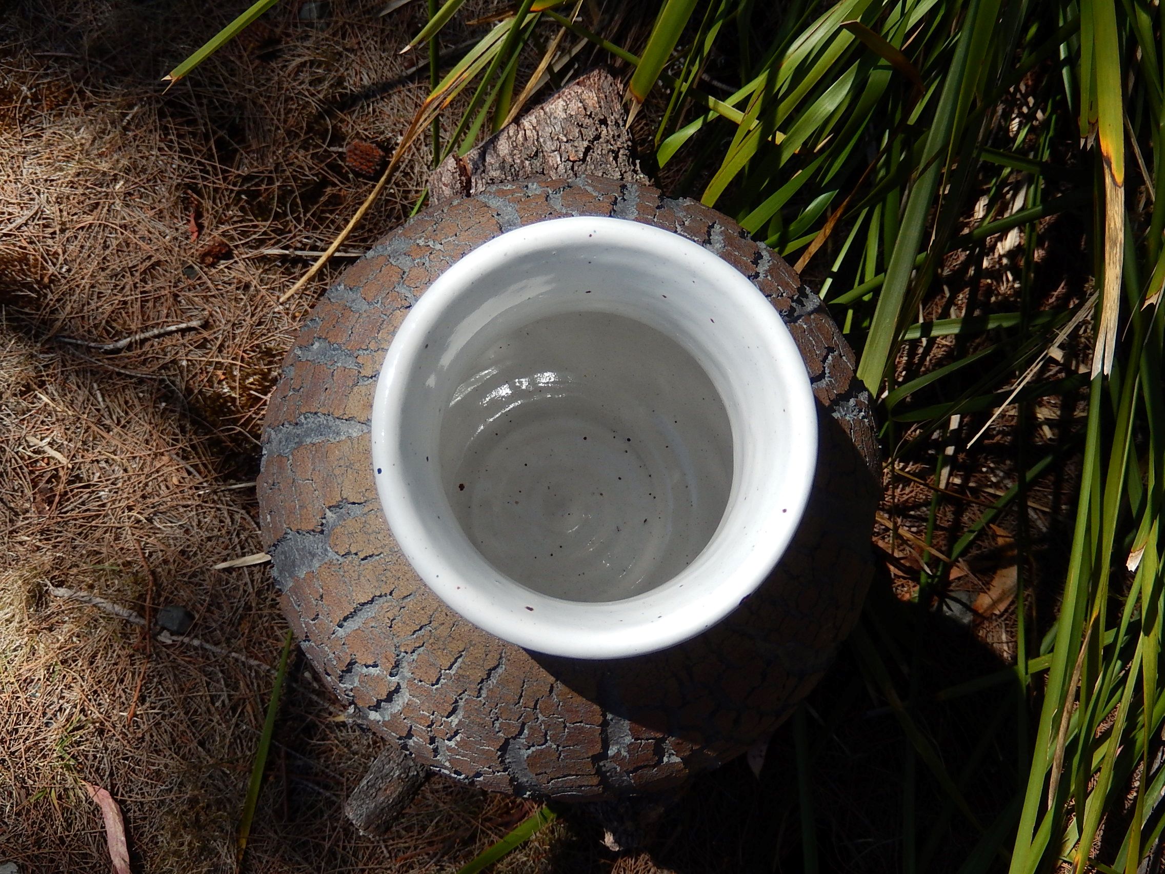 Craftsman Pottery Vase by Rynne Tanton