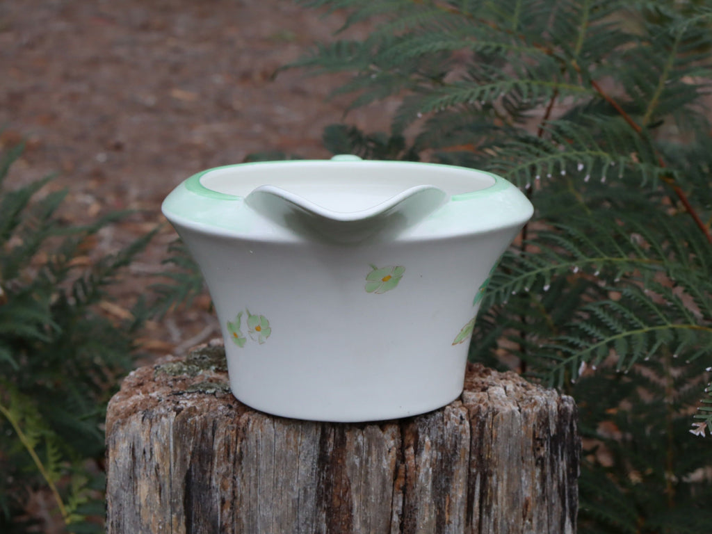 Shelley "Sweet William" Jug