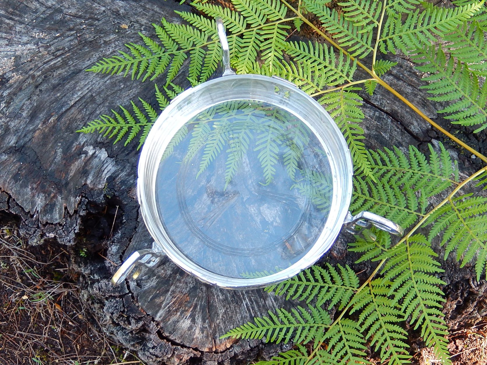 Art Deco Silver Dish WMF c.1910