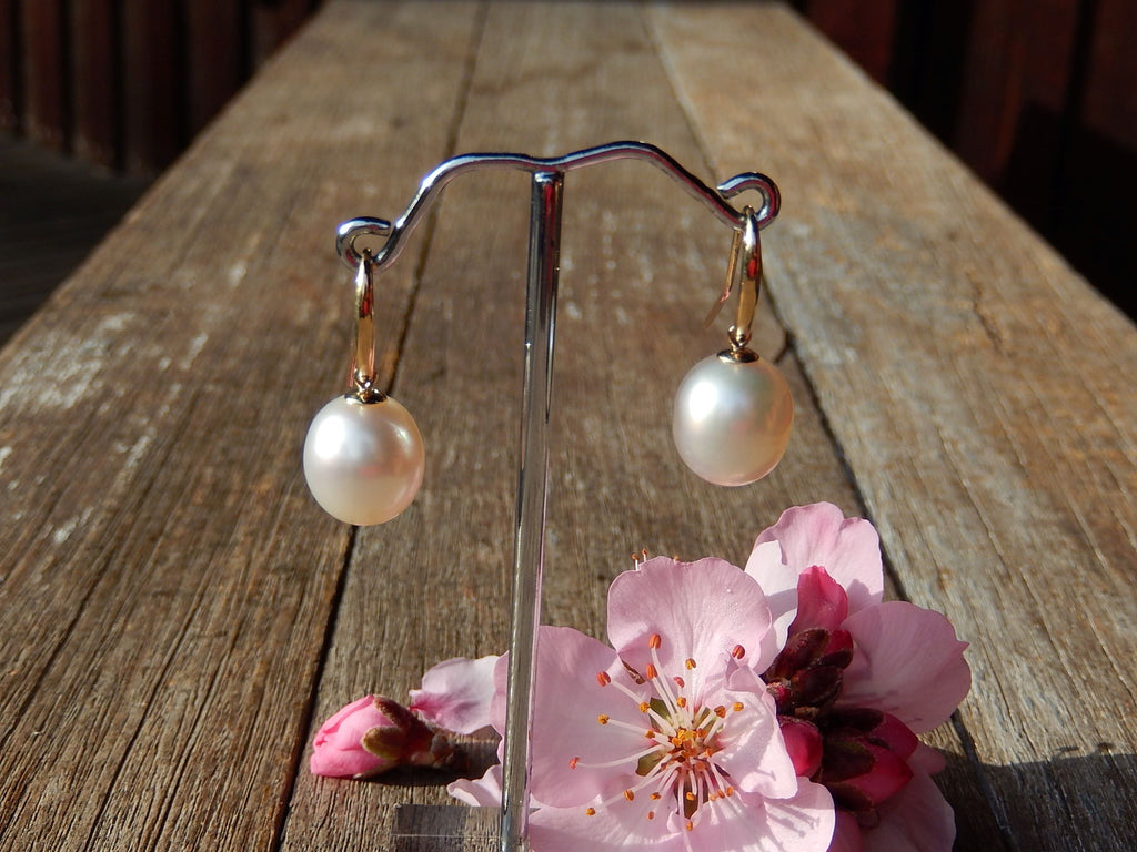 South Sea Pearl Earrings in 9ct Gold
