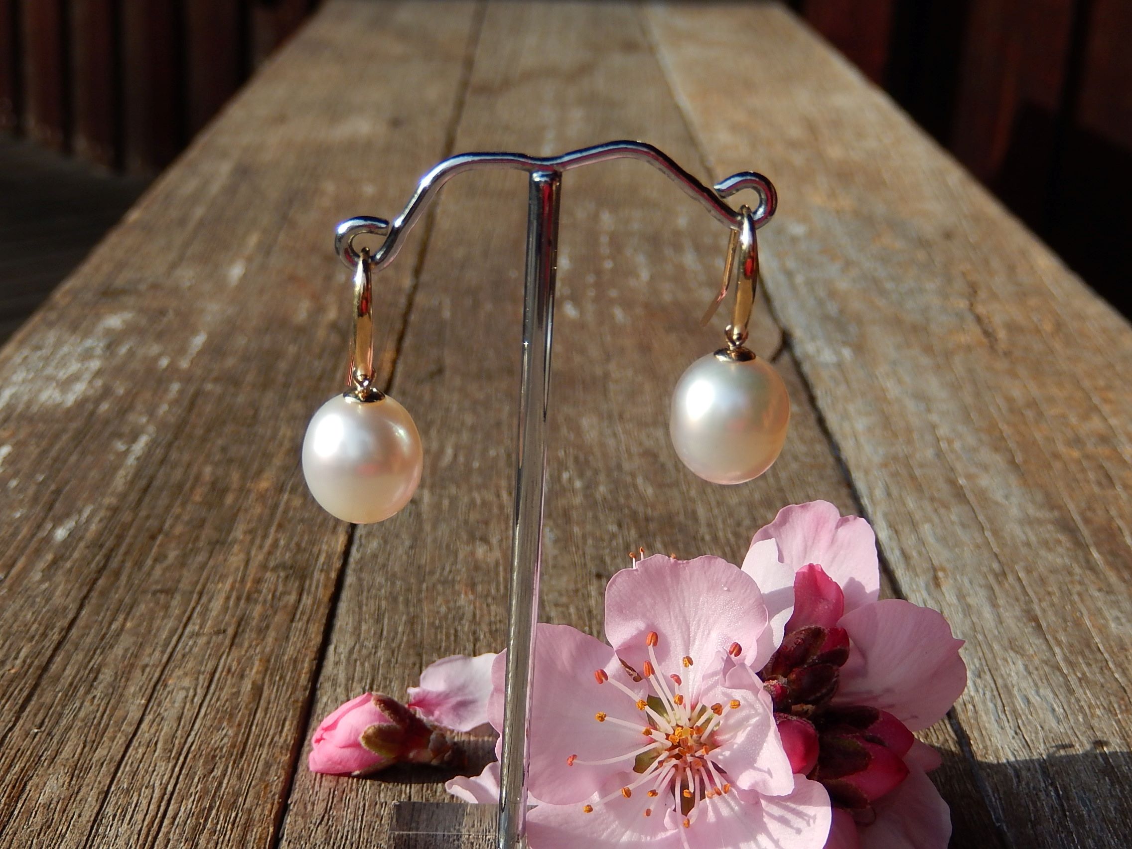 South Sea Pearl Earrings in 9ct Gold