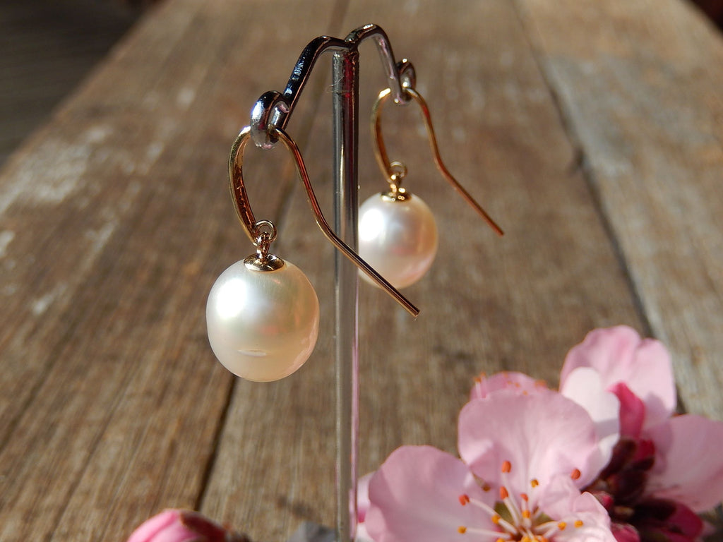 South Sea Pearl Earrings in 9ct Gold