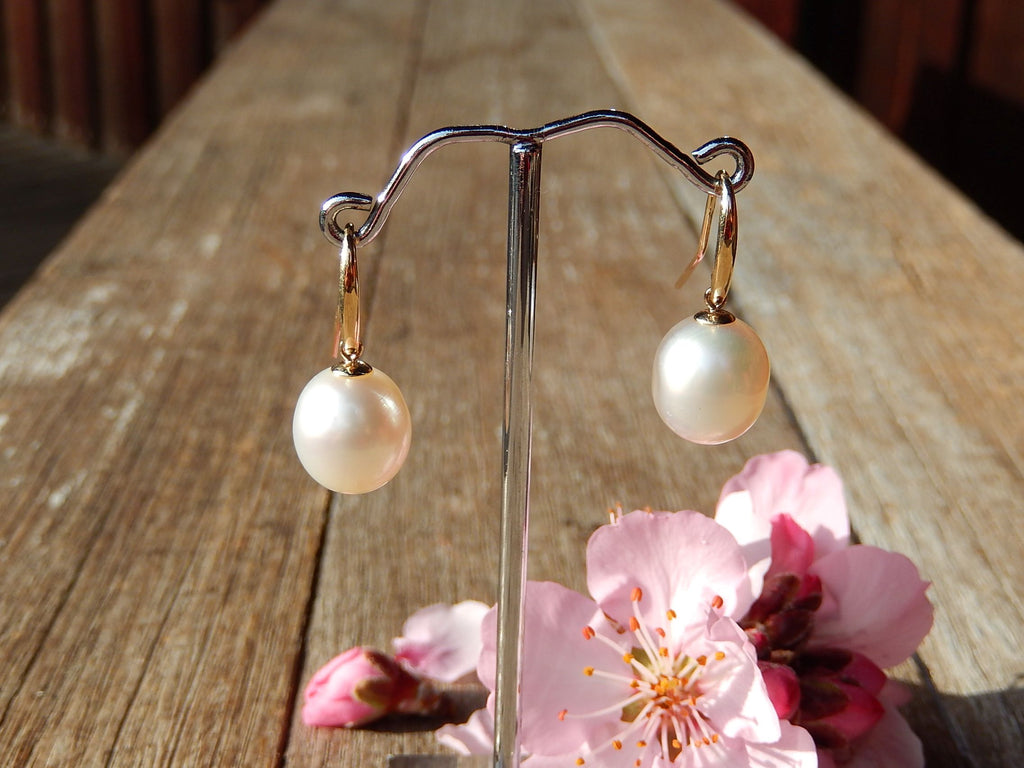South Sea Pearl Earrings in 9ct Gold