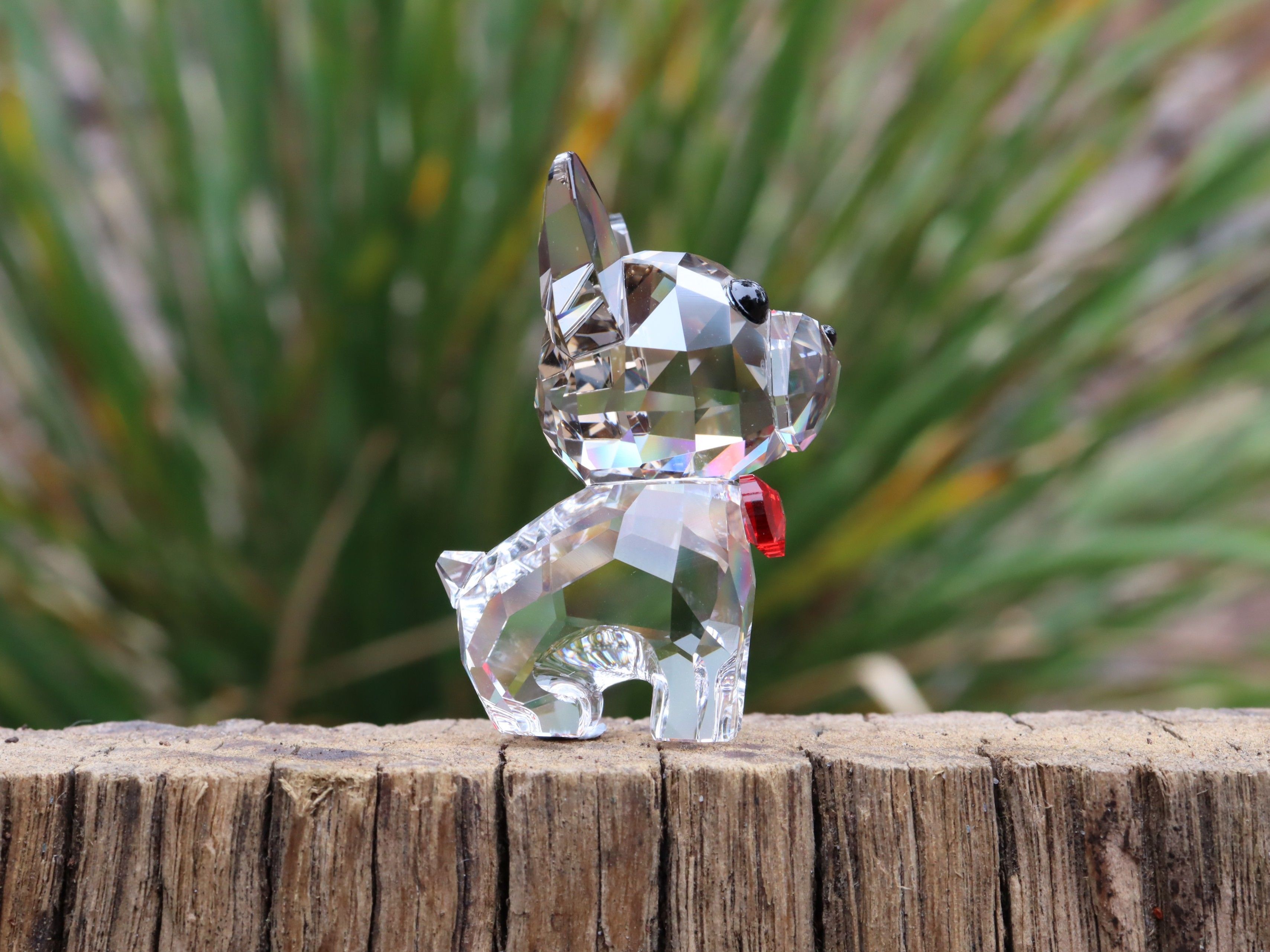 Swarovski Bruno The Bulldog