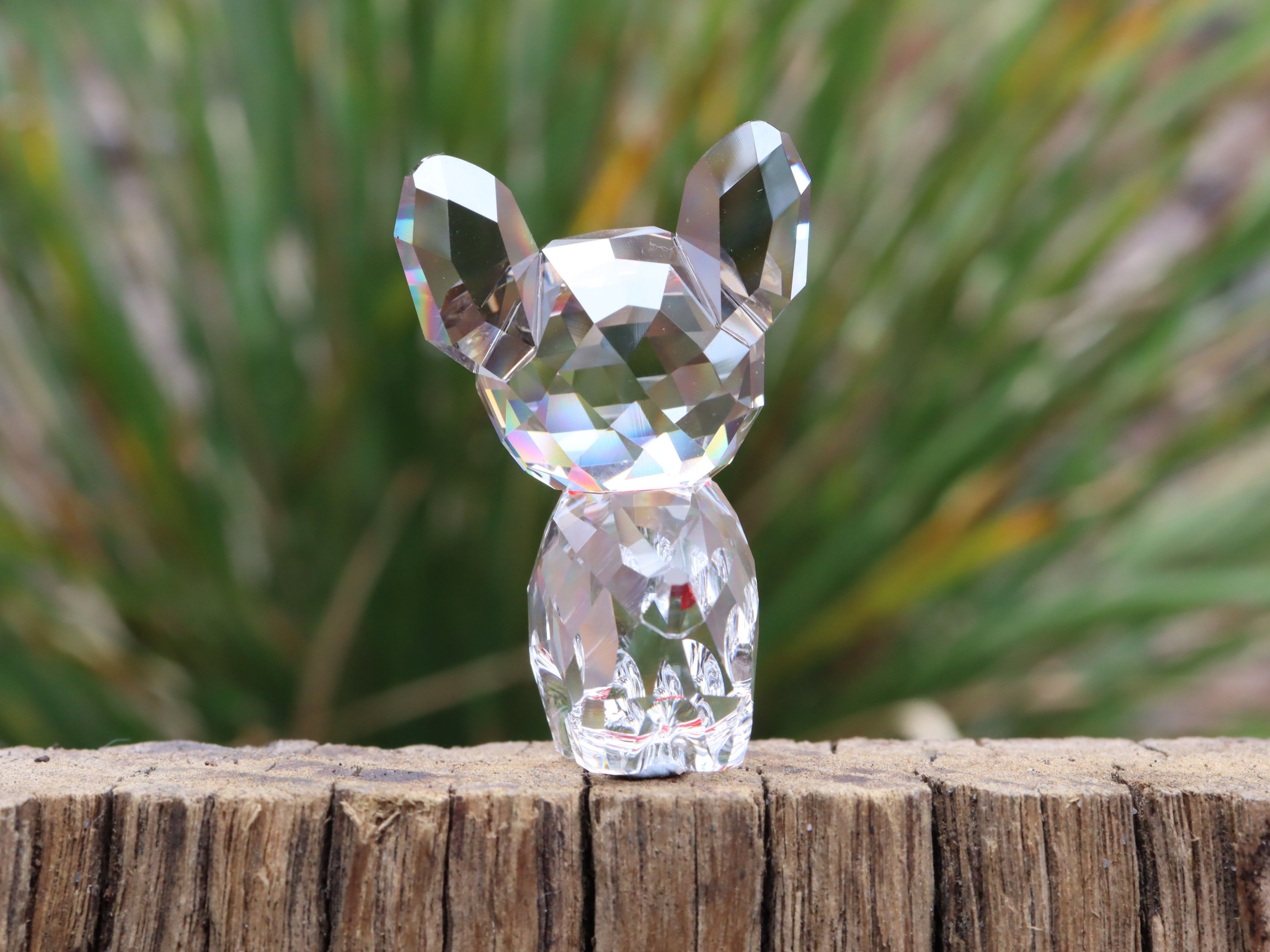 Swarovski Bruno The Bulldog – Shop in The Bush