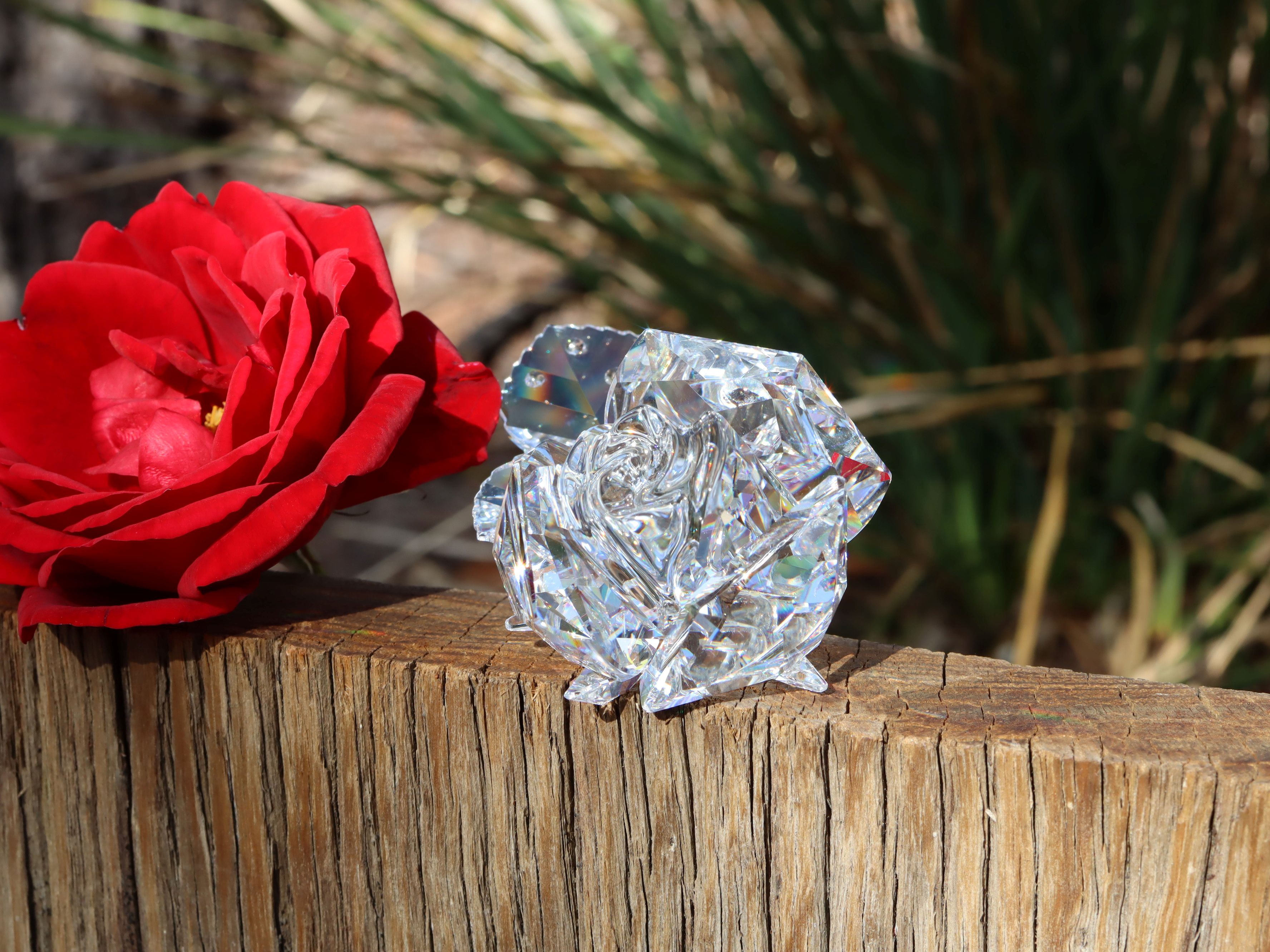 Swarovski Rose