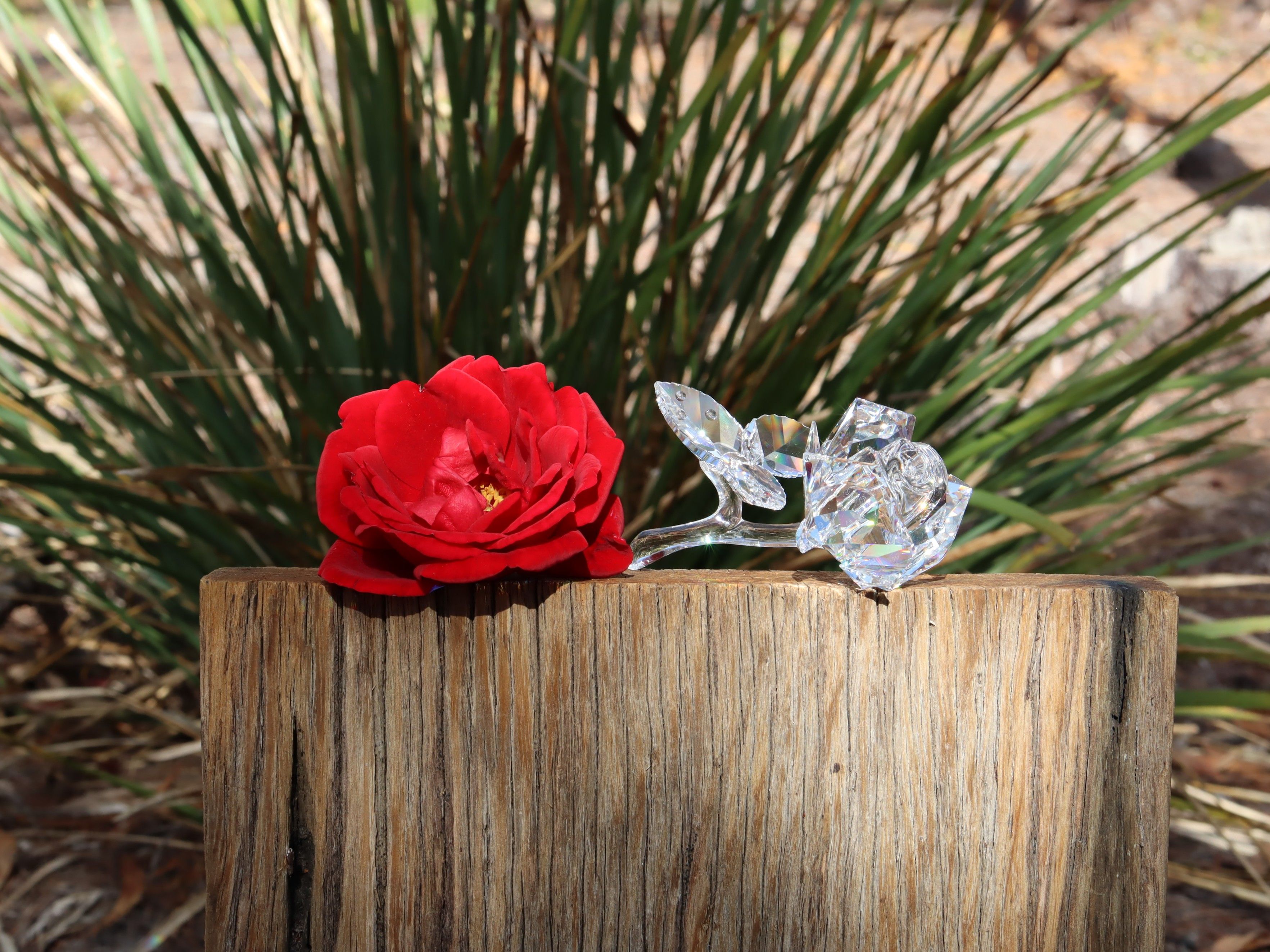 Swarovski Rose