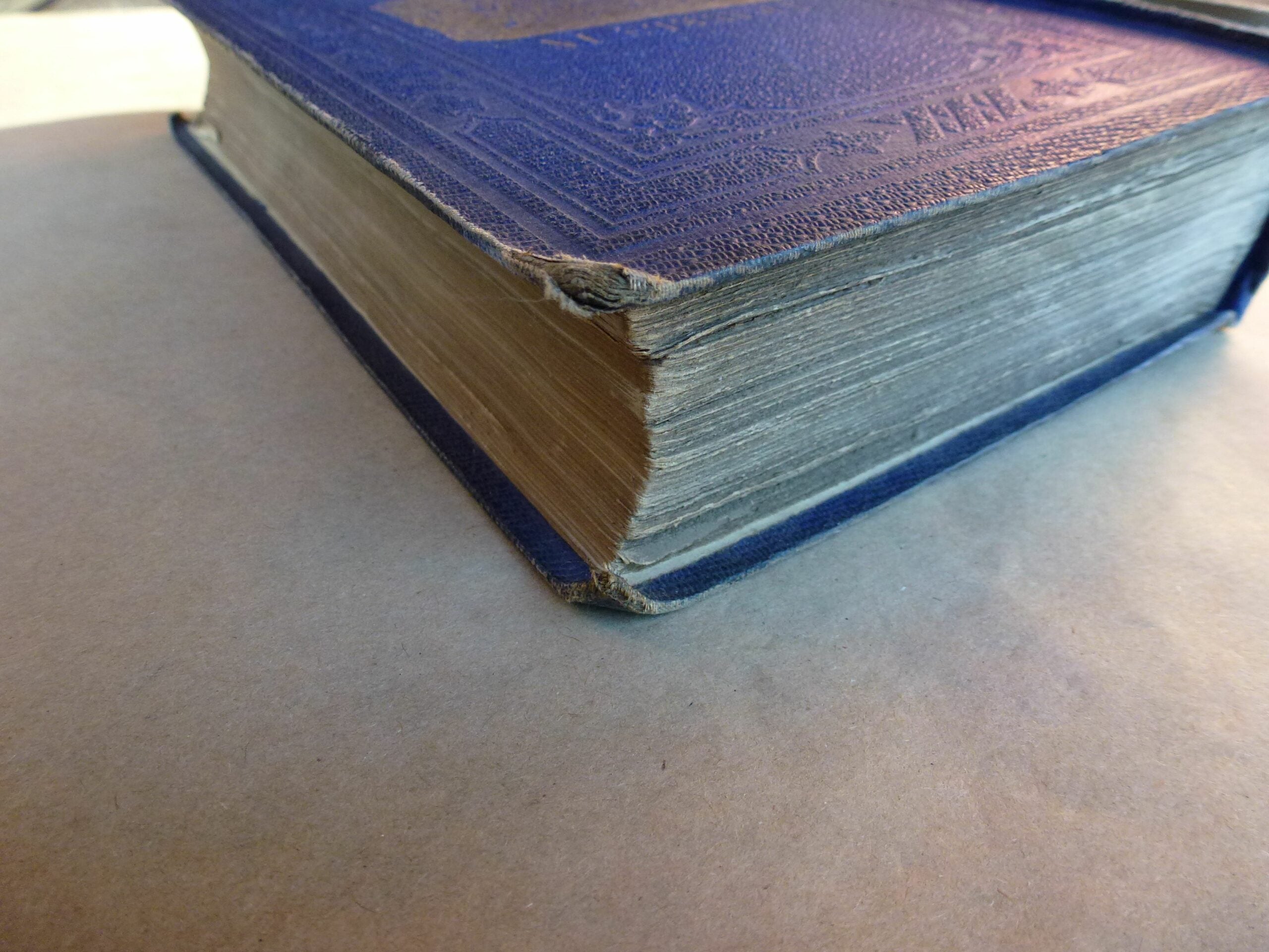 Travels in Central America' by John Lloyd Stephens 1854