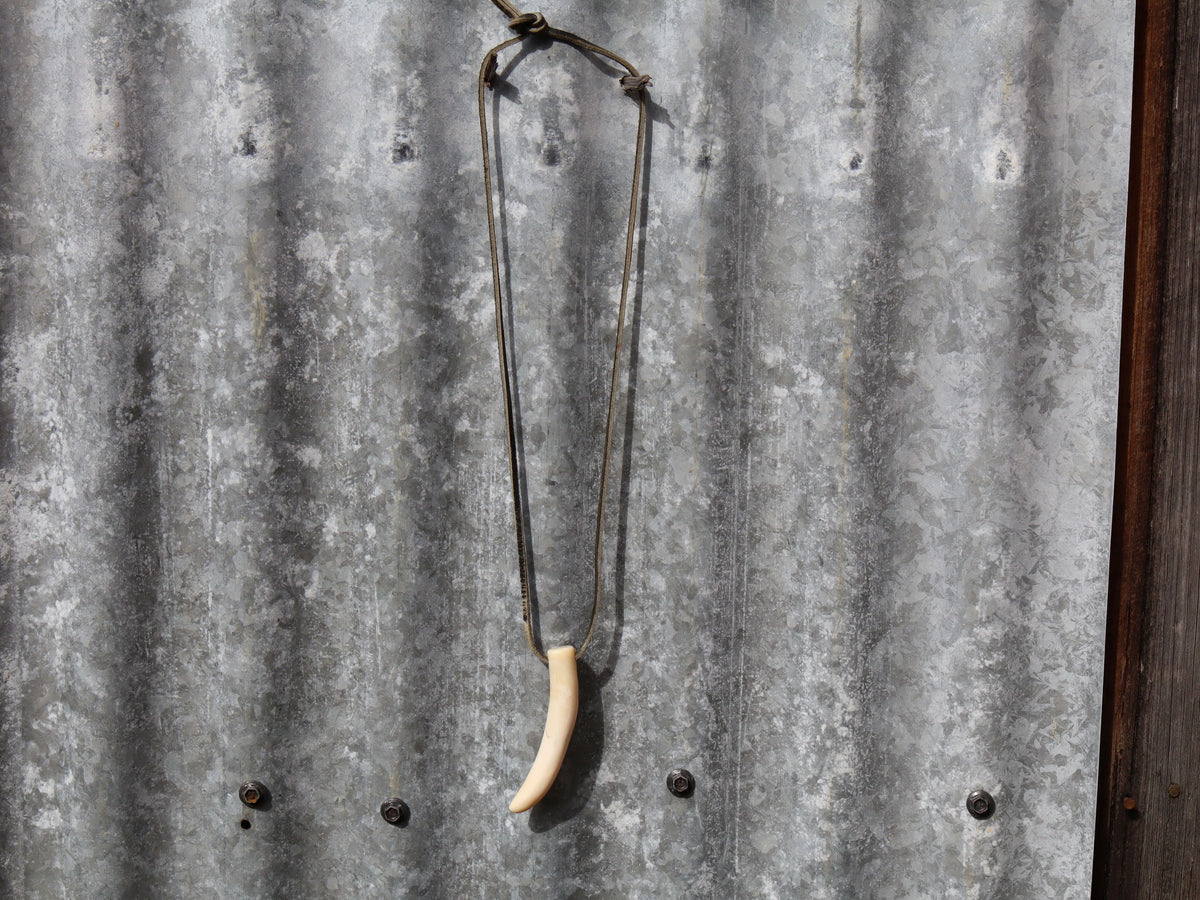 Pig Tusk, Papua New Guinea c.1970