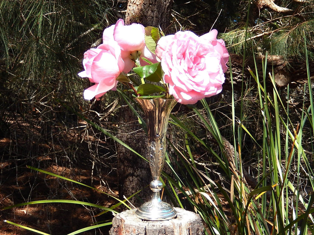 Sterling Silver Vase Birmingham 1901