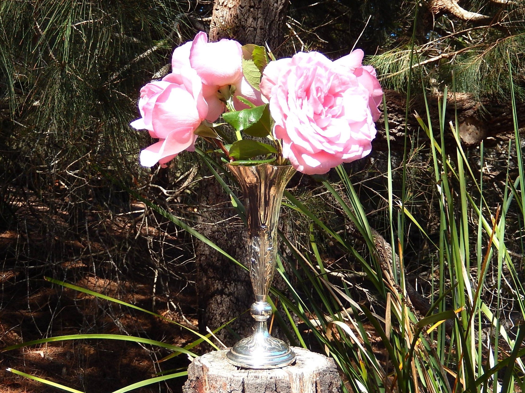 Sterling Silver Vase Birmingham 1901