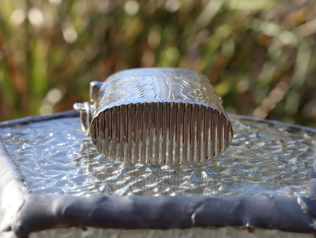 Sterling Silver Vesta Case