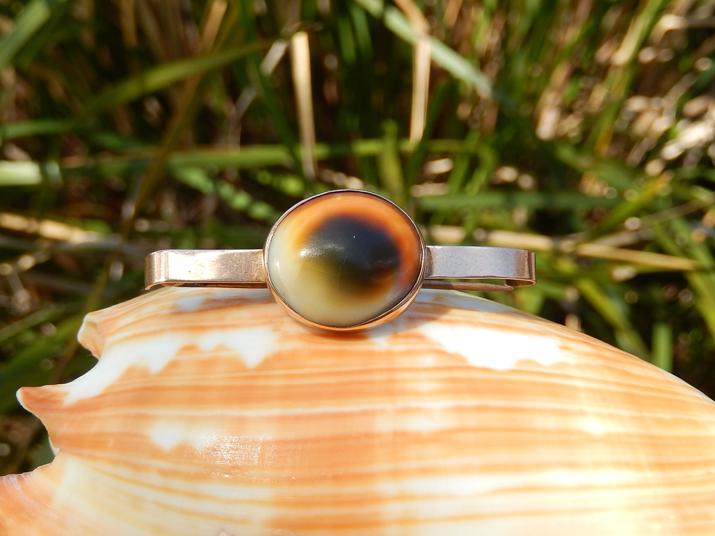 Victorian Operculum Brooch in 9ct Rose Gold