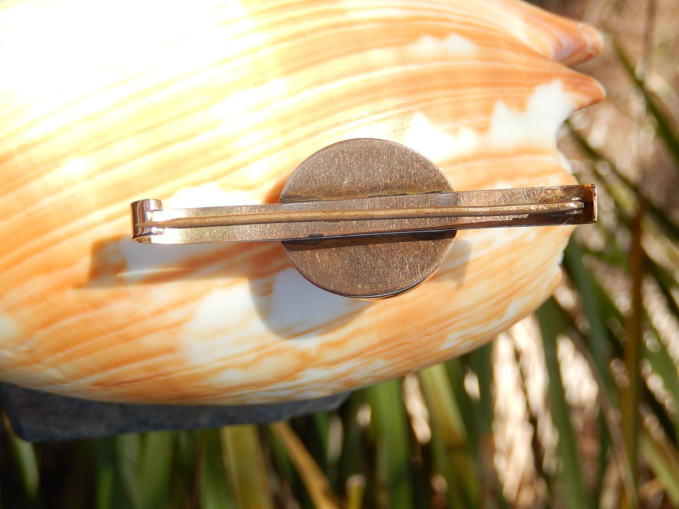 Victorian Operculum Brooch in 9ct Rose Gold