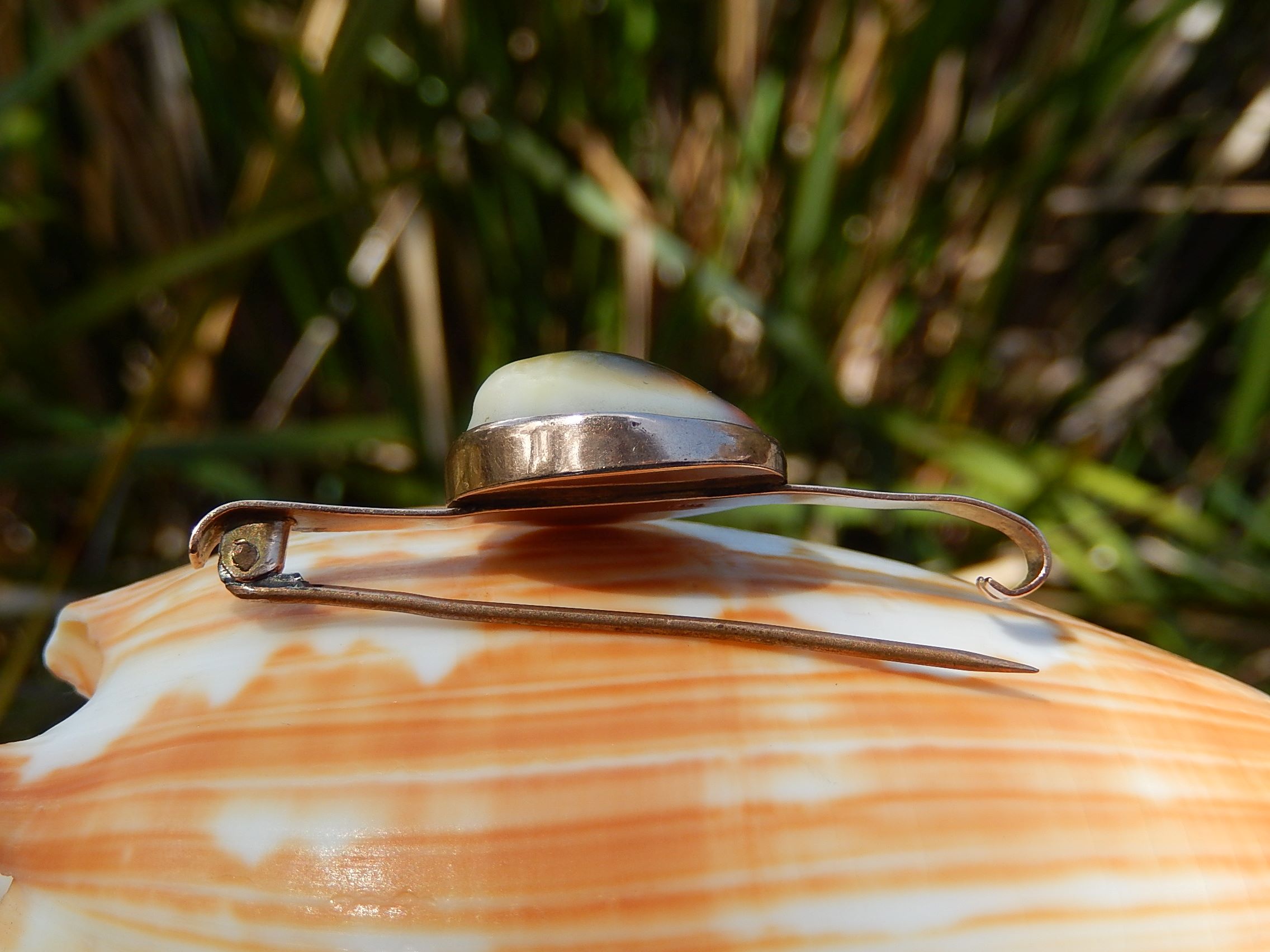 Victorian Operculum Brooch in 9ct Rose Gold
