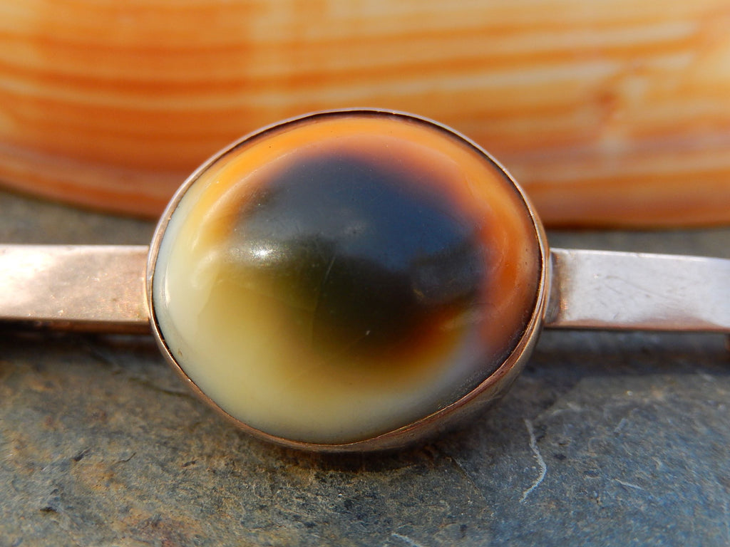 Victorian Operculum Brooch in 9ct Rose Gold