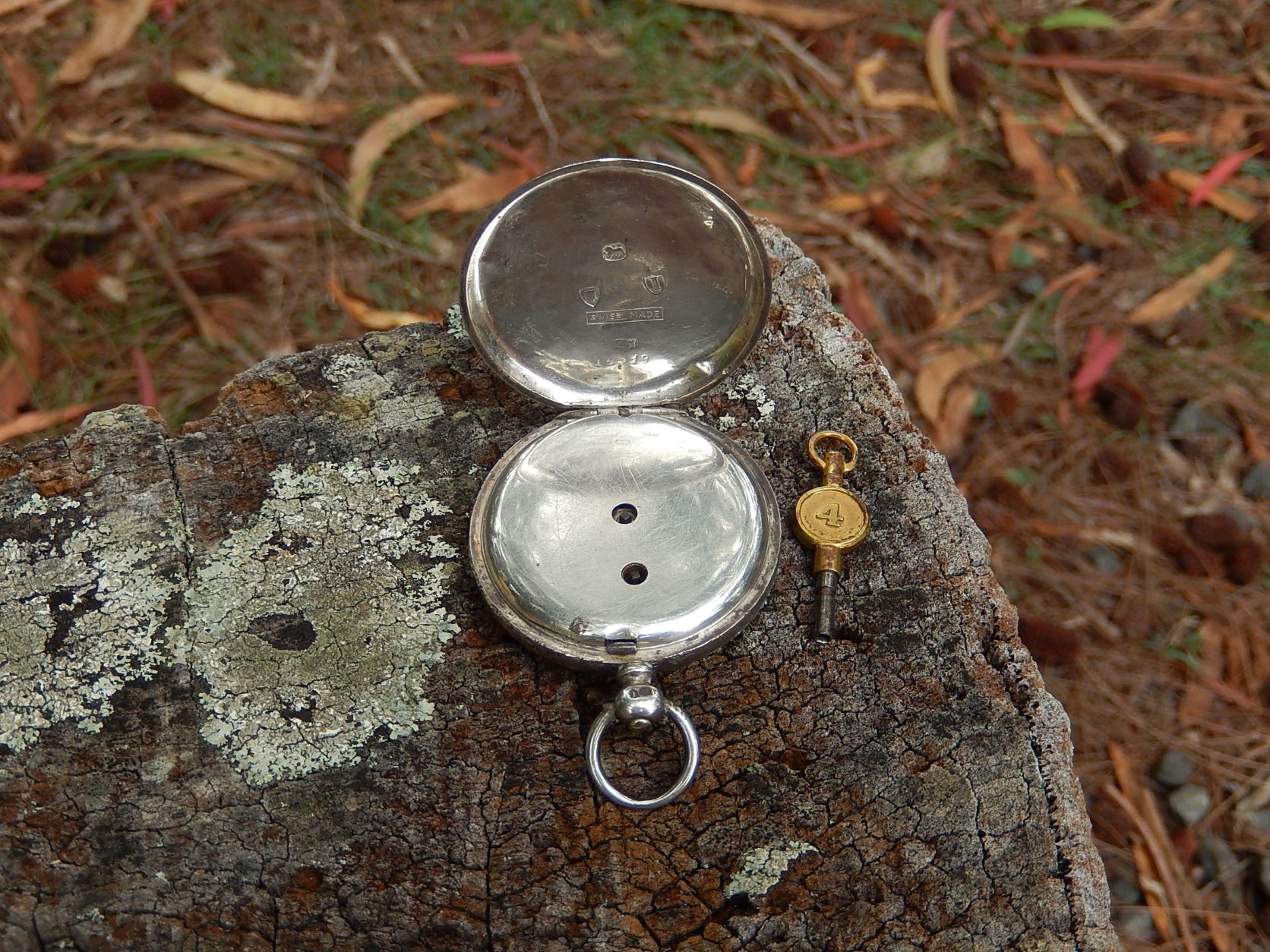 Sterling Watch 1884