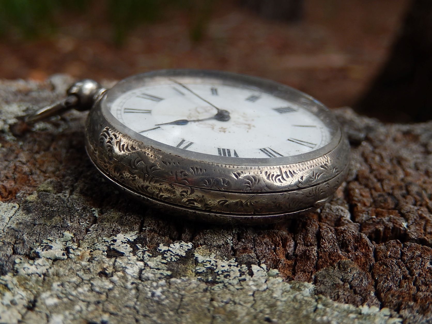 Sterling Watch 1884