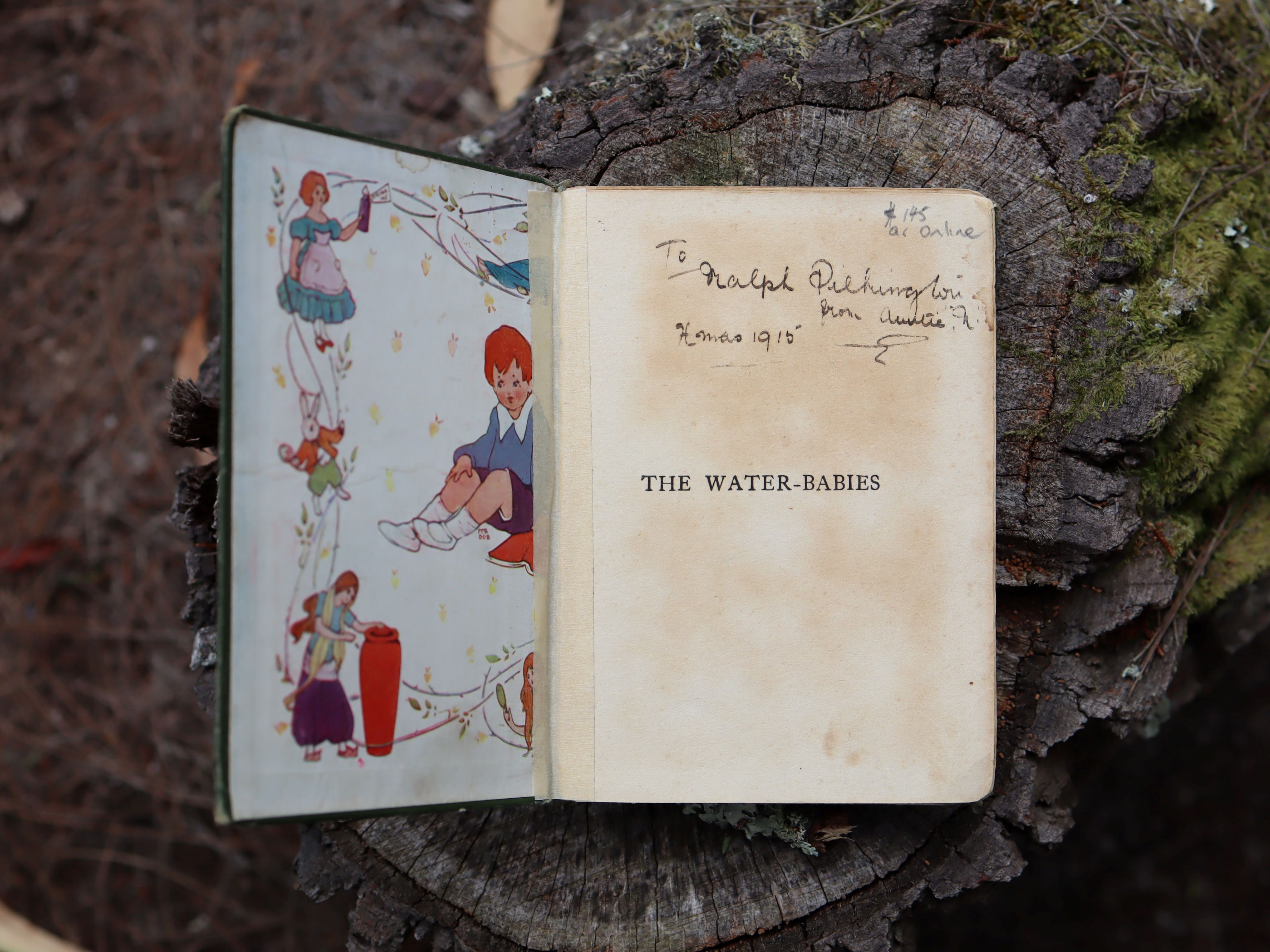 The Water Babies by Charles Kingsley c.1910