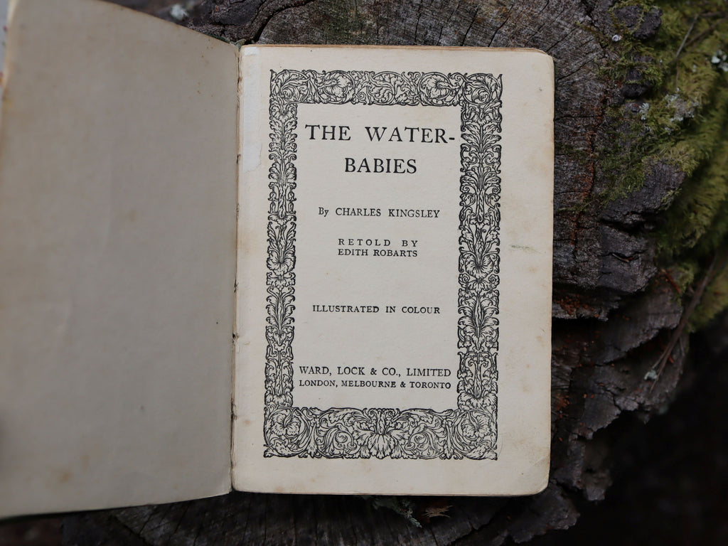 The Water Babies by Charles Kingsley c.1910