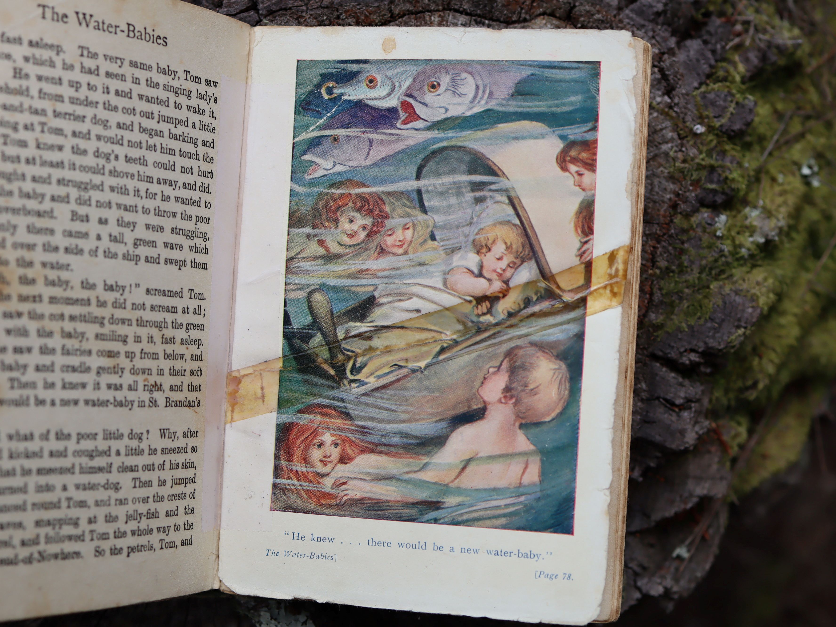 The Water Babies by Charles Kingsley c.1910