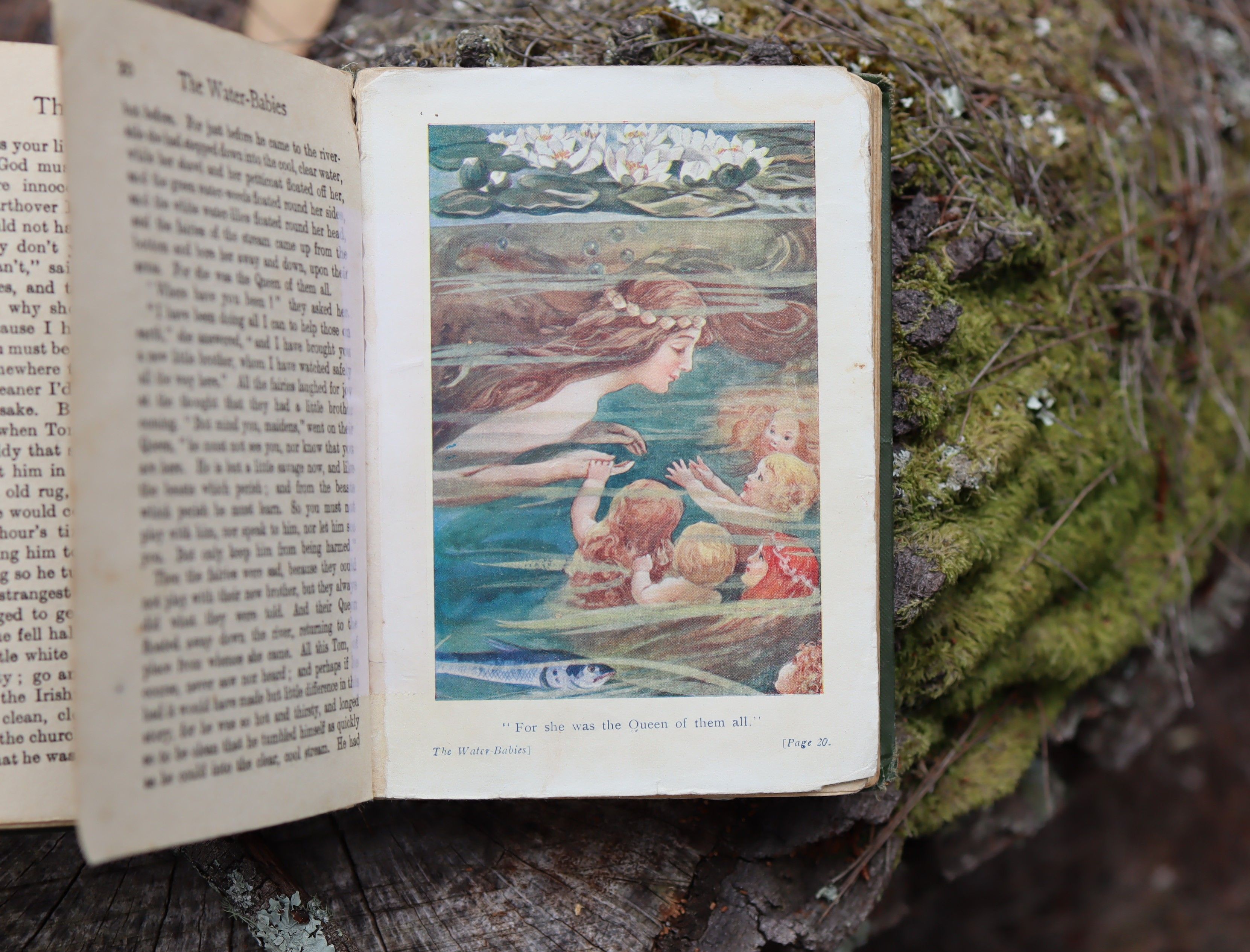 The Water Babies by Charles Kingsley c.1910