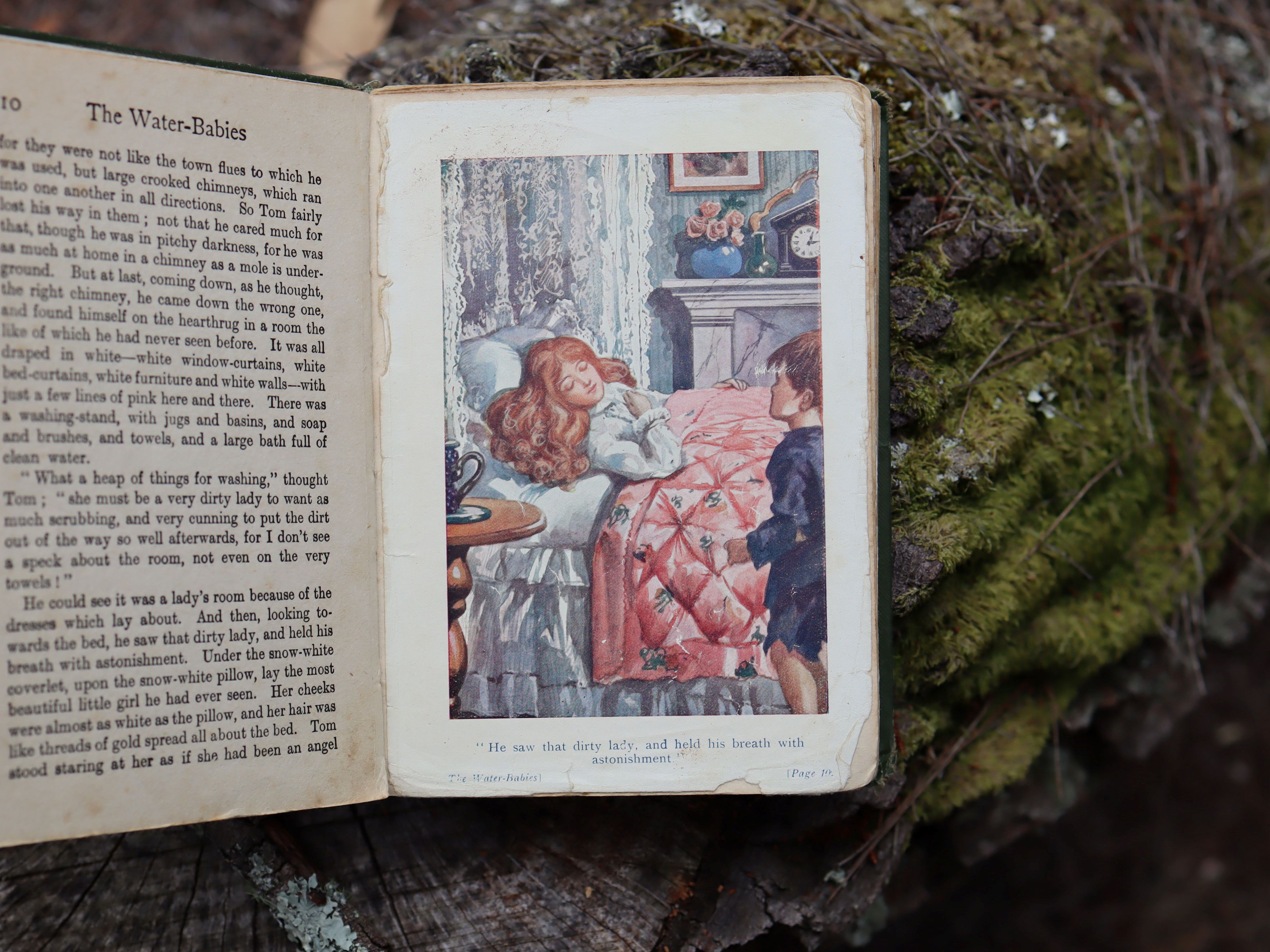 The Water Babies by Charles Kingsley c.1910