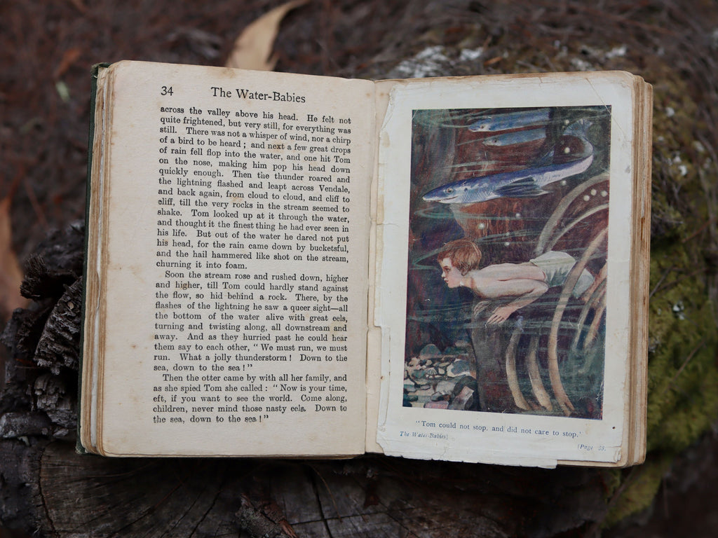 The Water Babies by Charles Kingsley c.1910