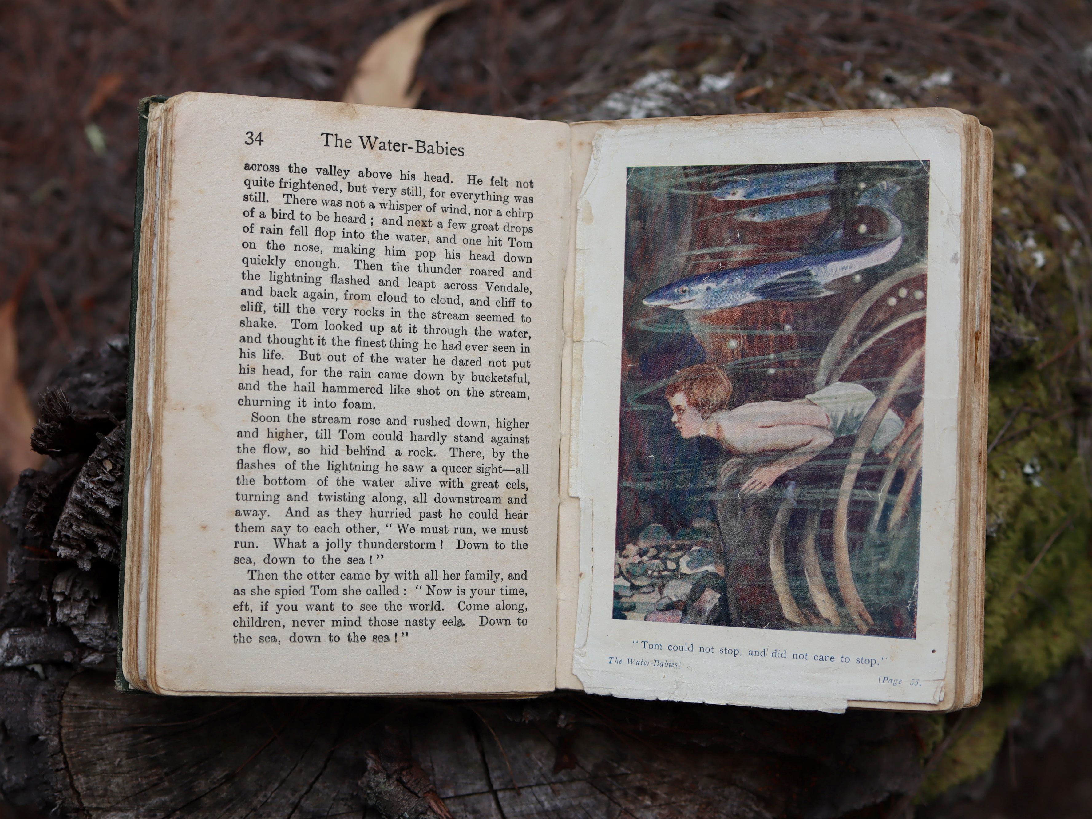 The Water Babies by Charles Kingsley c.1910
