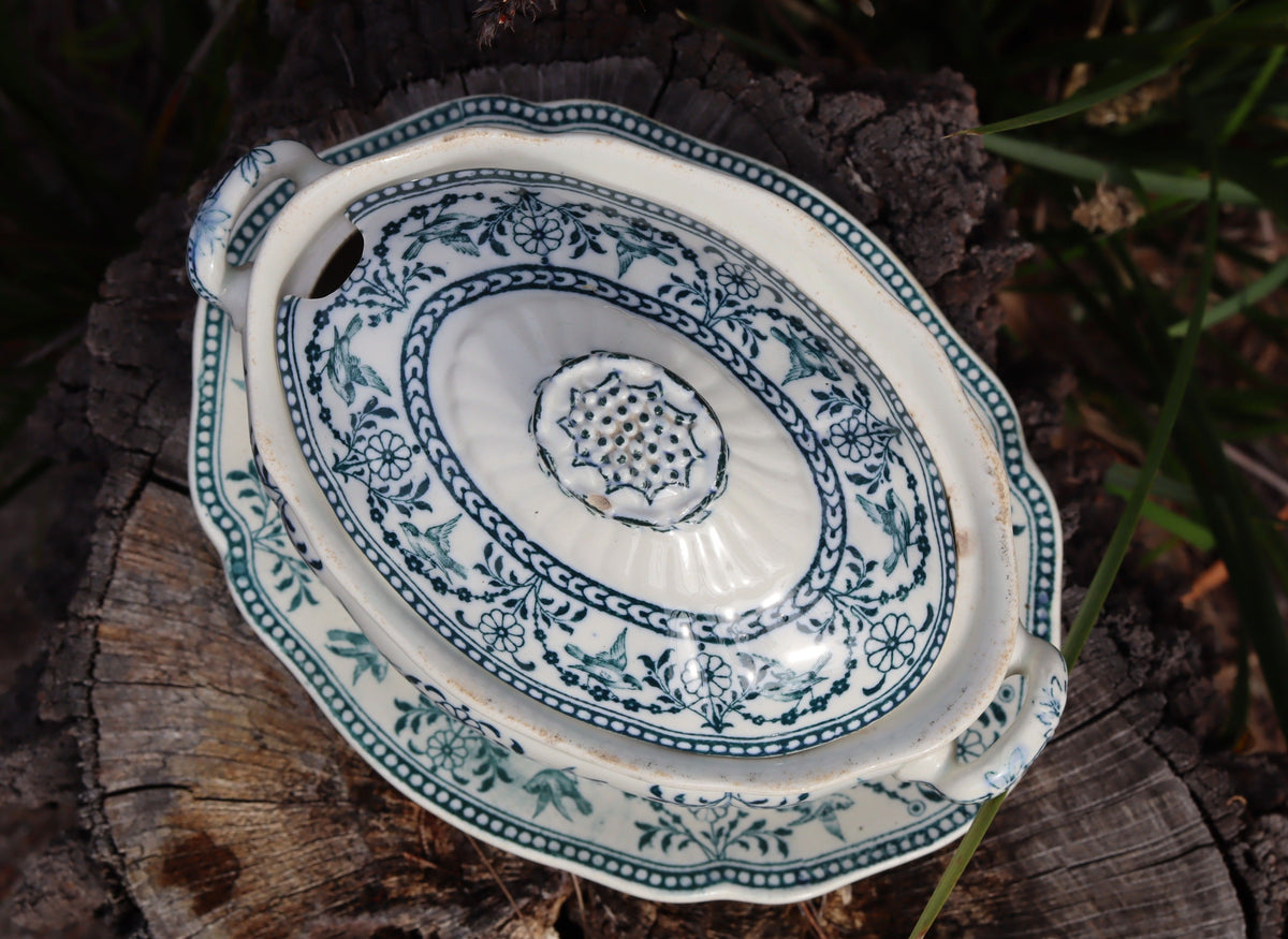 Wedgwood "Raphael" Pattern c.1895